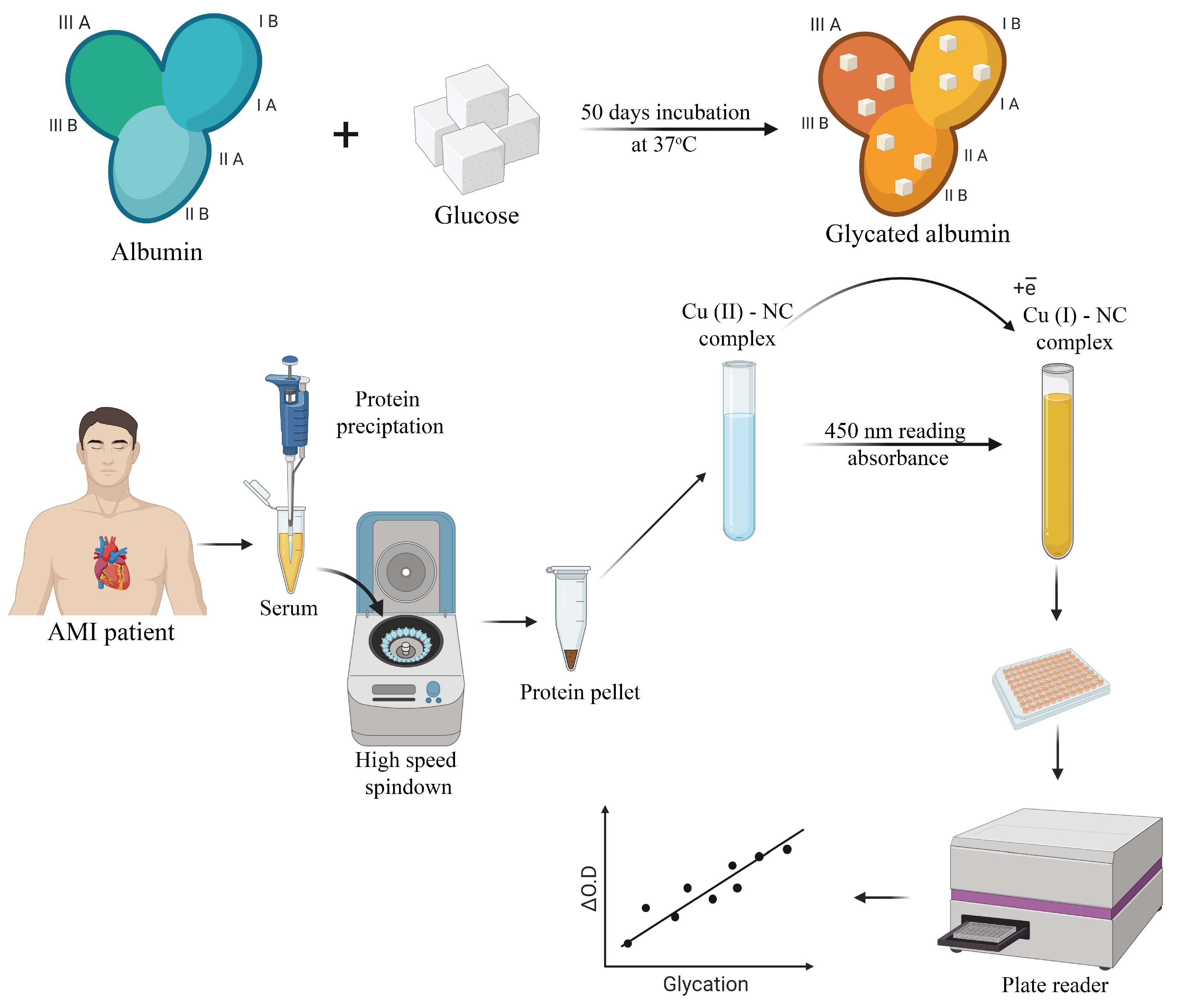 Antioxidants 10 00434 g001