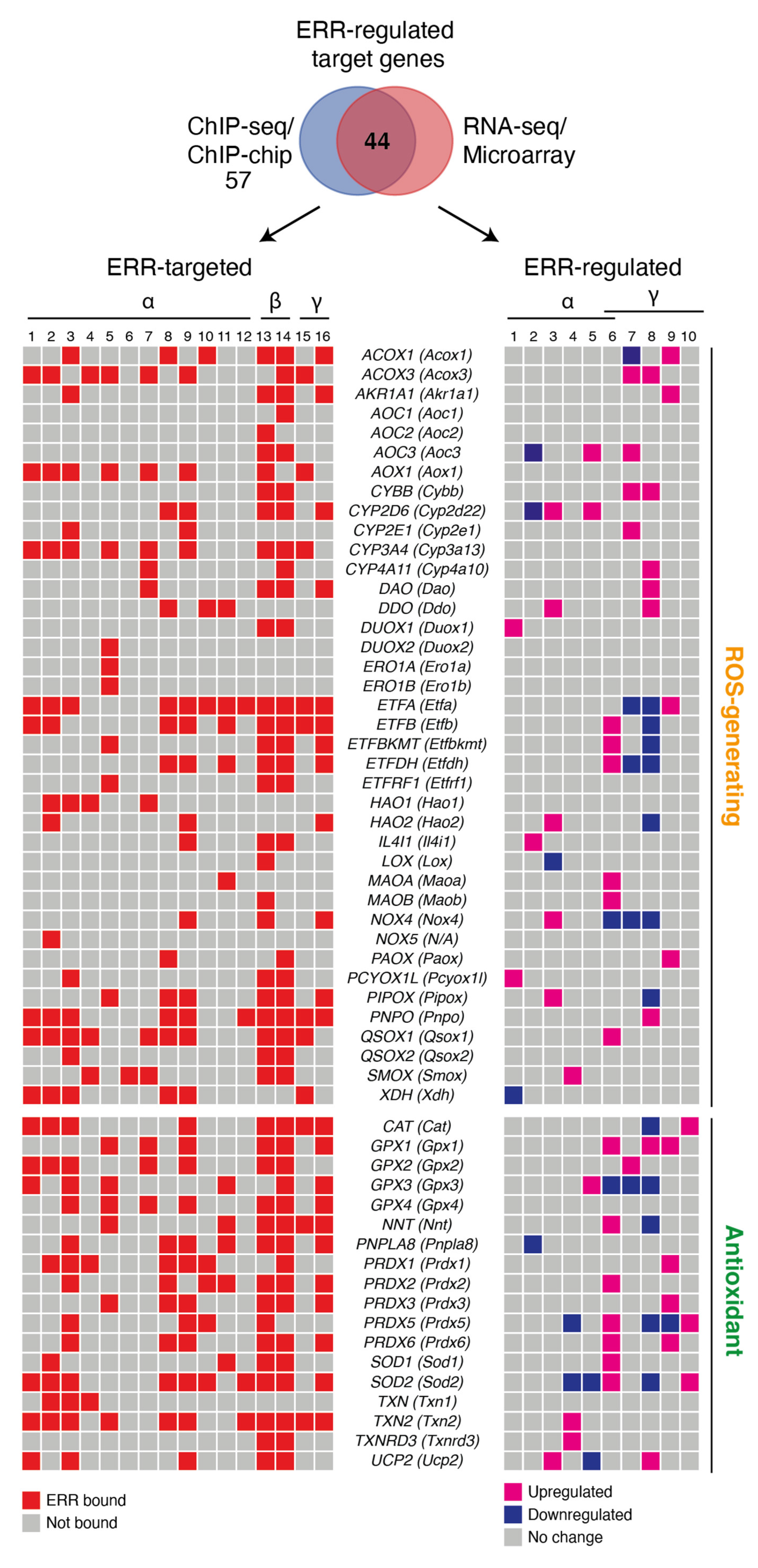 Antioxidants 10 00437 g001