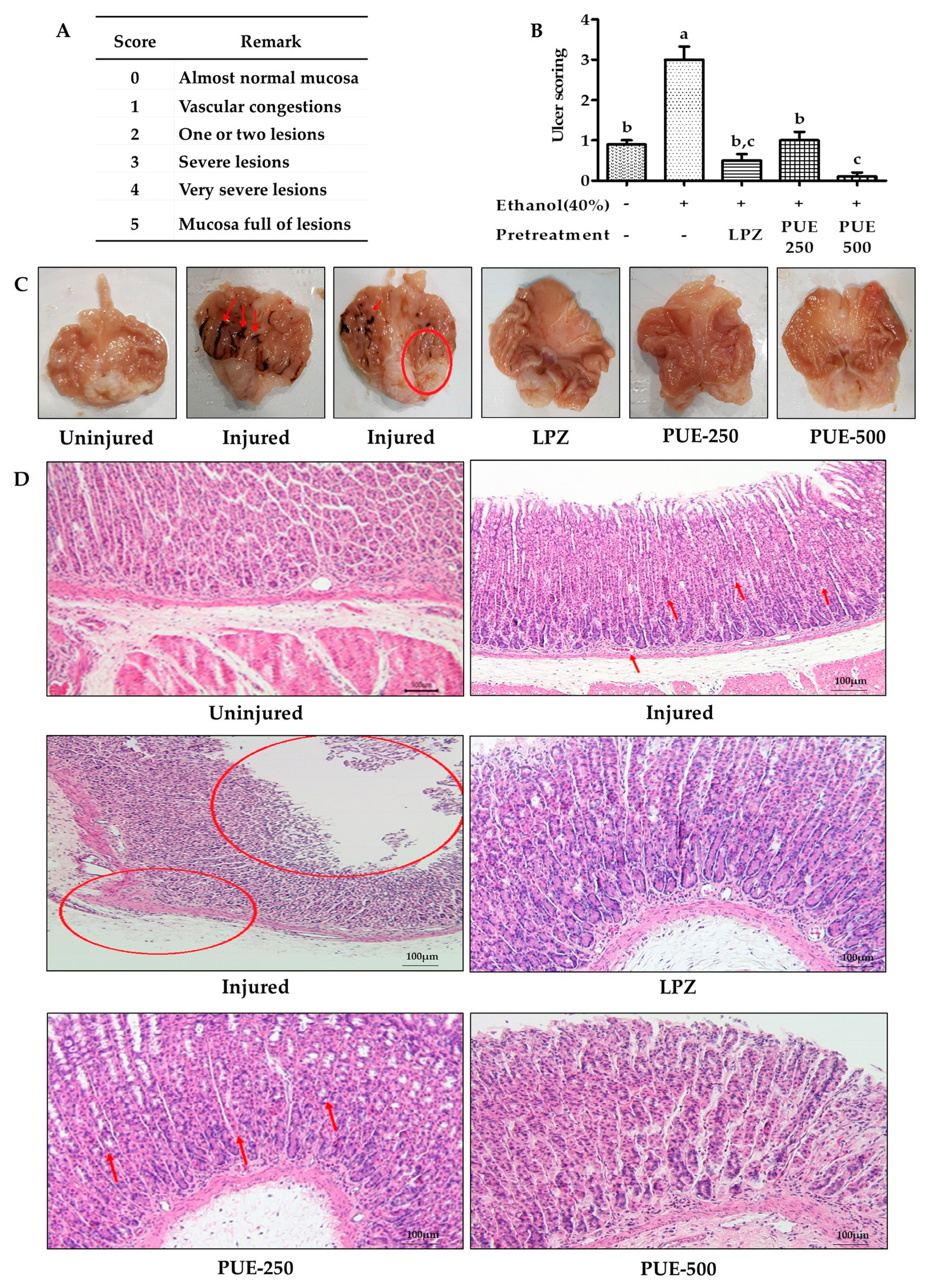 Antioxidants 10 00439 g005 Antioxidants 10 00439 g005
