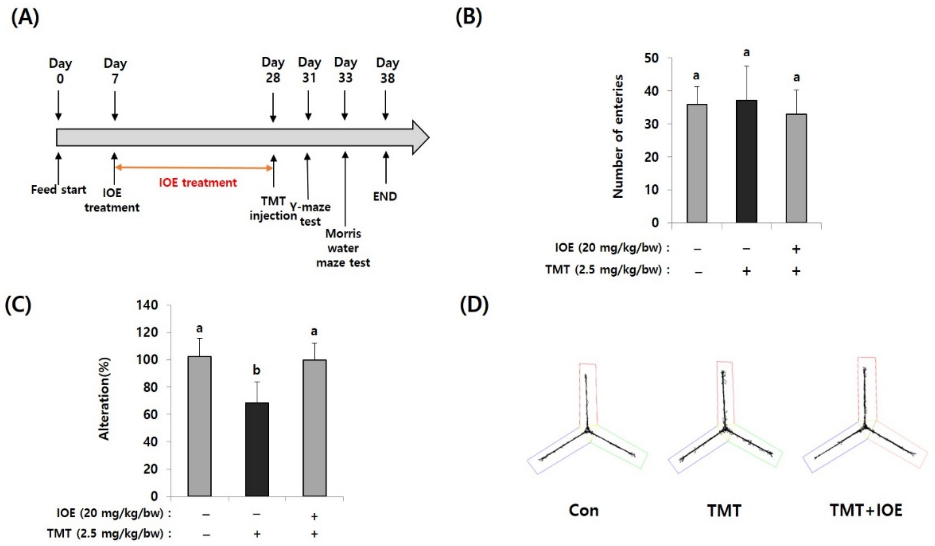 Antioxidants 10 00440 g001