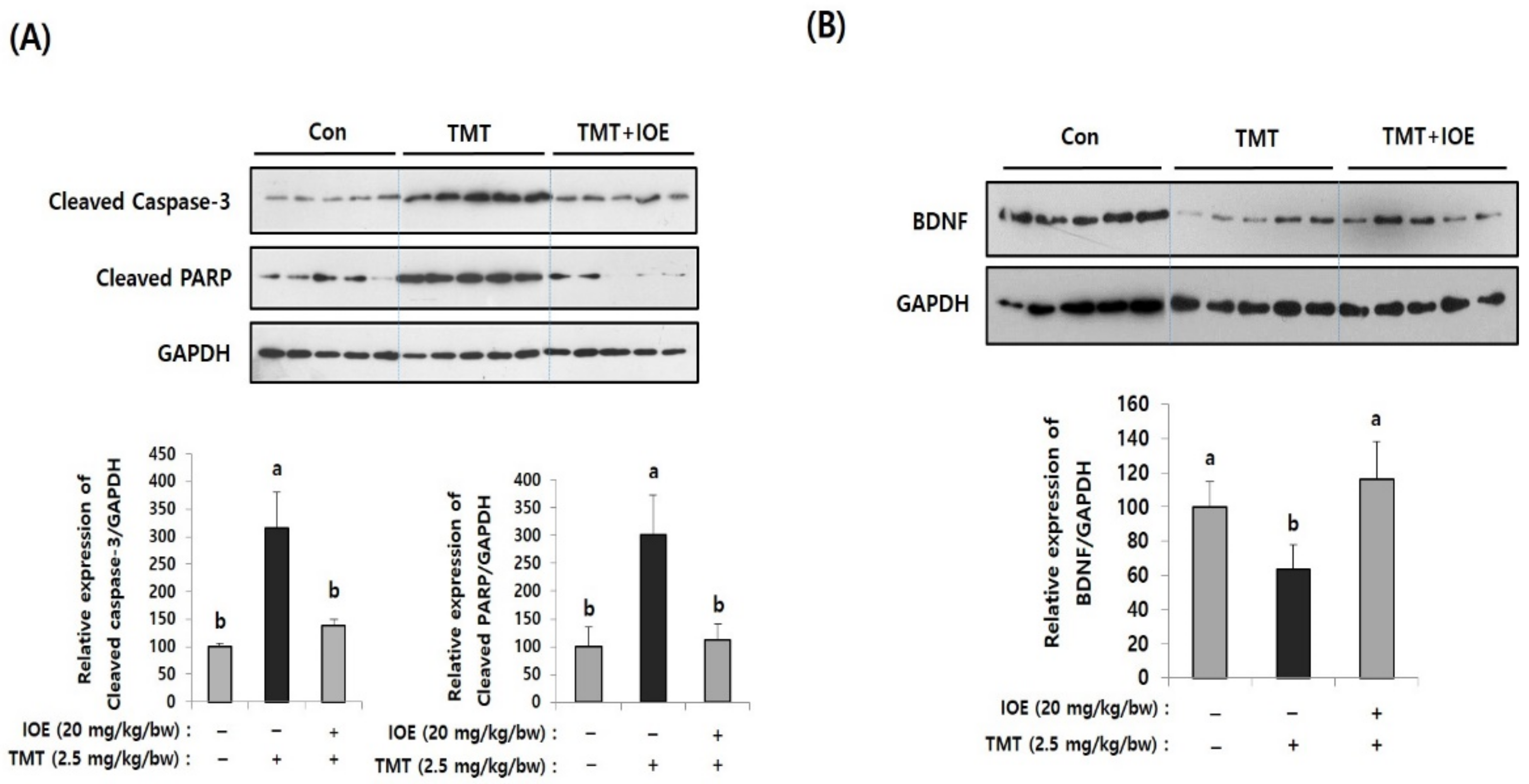 Antioxidants 10 00440 g003