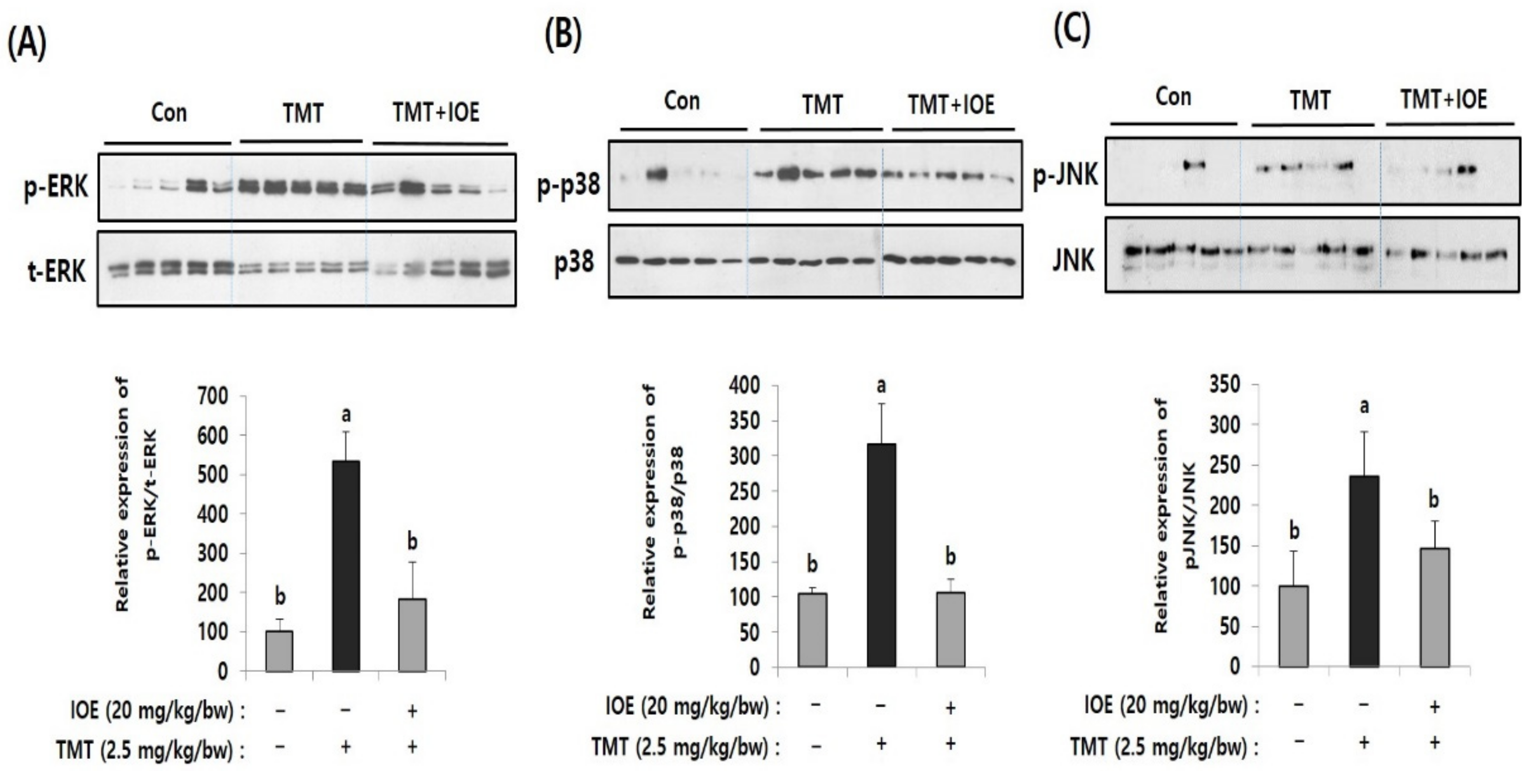 Antioxidants 10 00440 g005