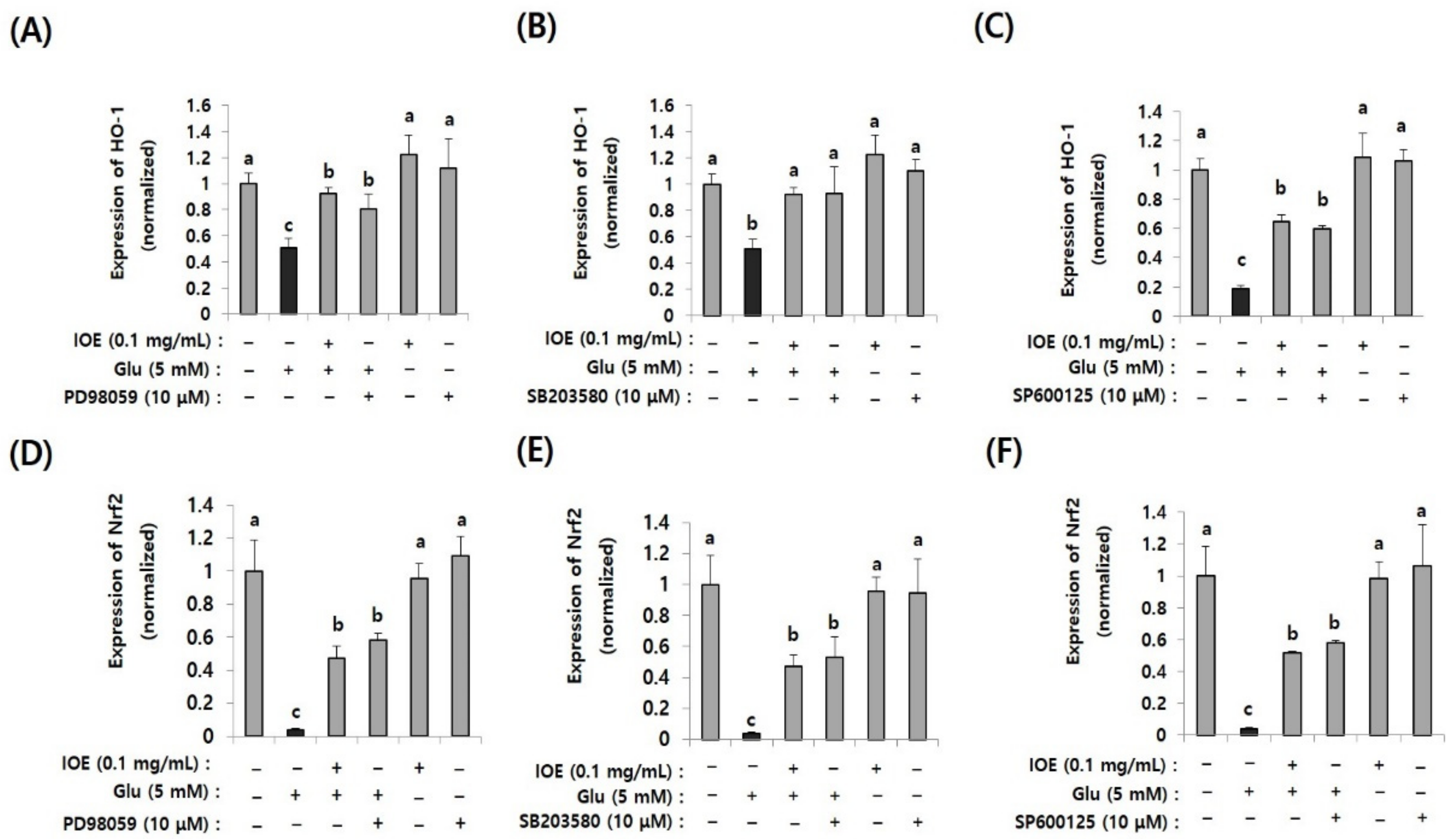 Antioxidants 10 00440 g010