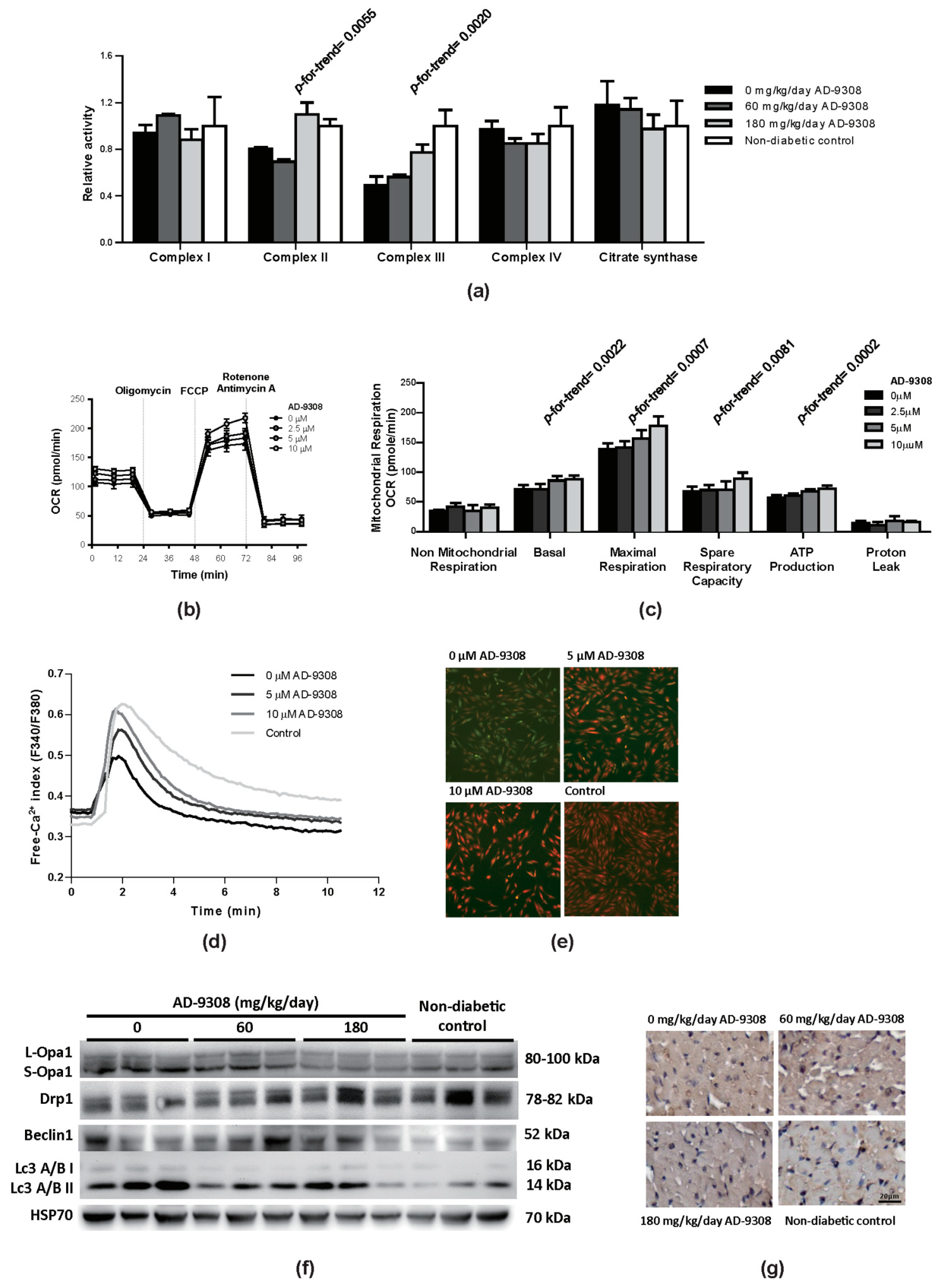 Antioxidants 10 00450 g007 Antioxidants 10 00450 g007