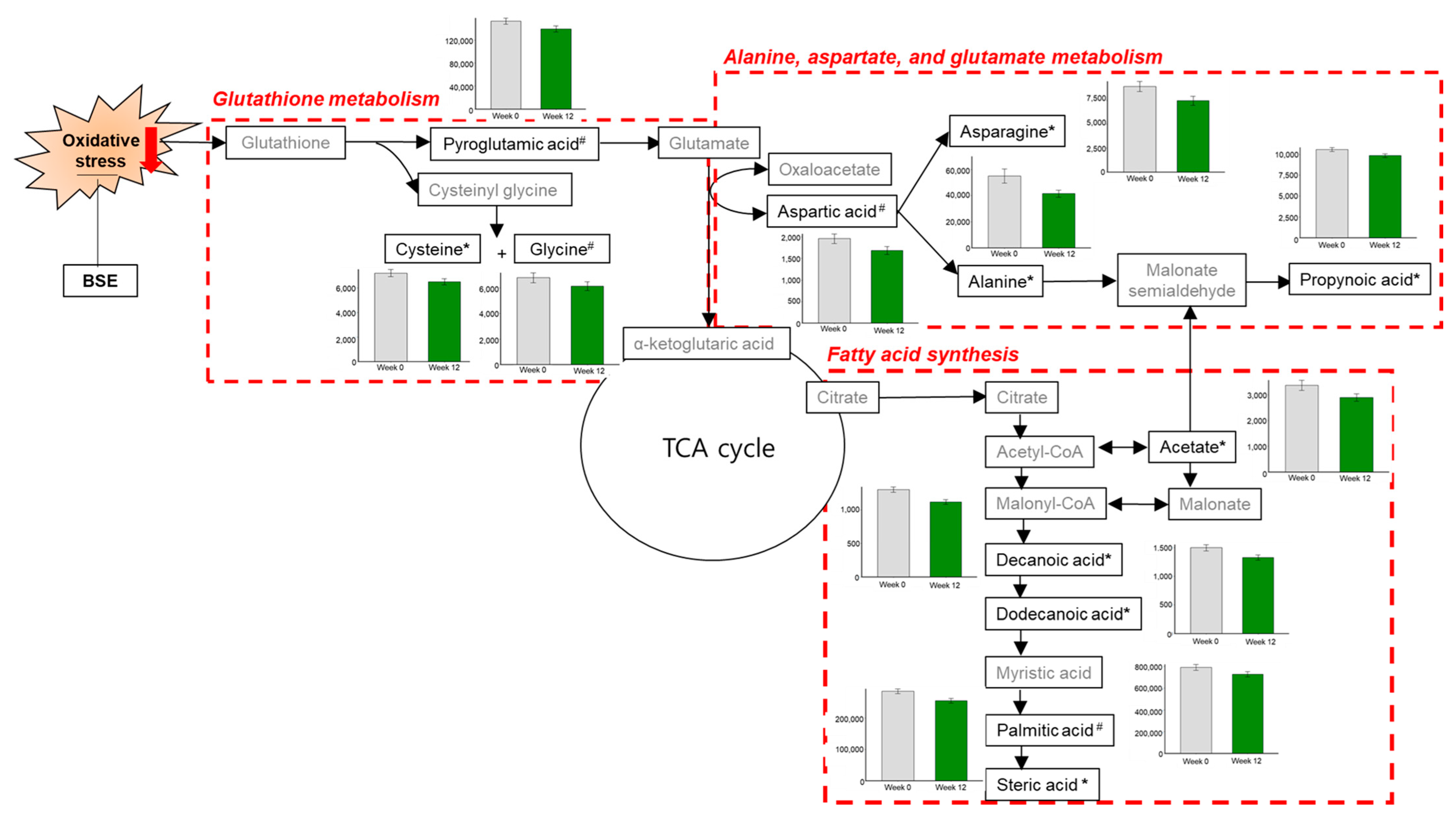 Antioxidants 10 00459 g004