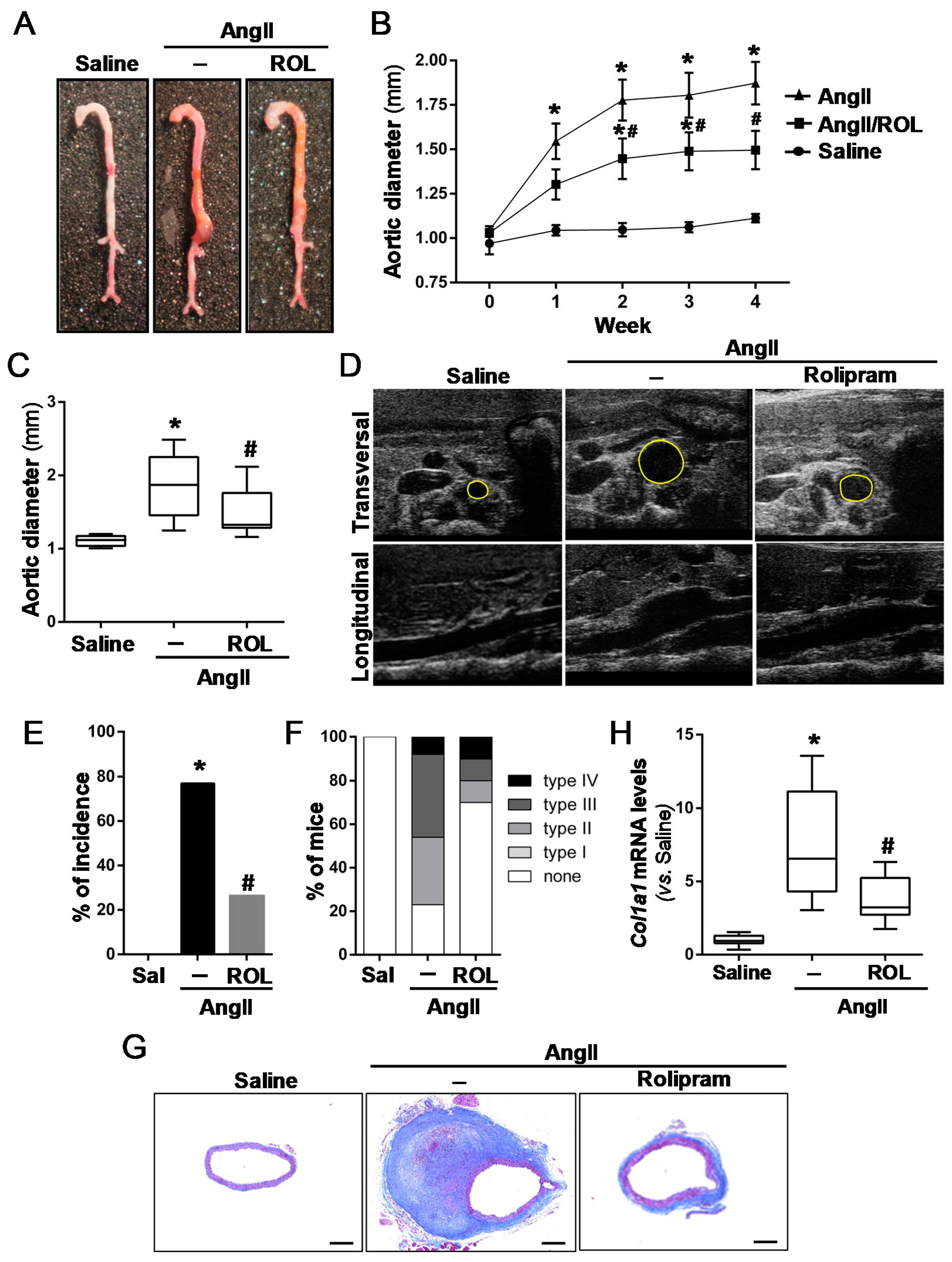 Antioxidants 10 00460 g003