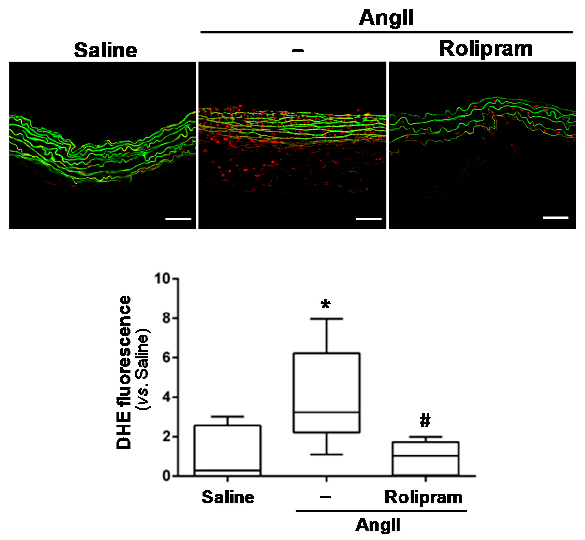 Antioxidants 10 00460 g006