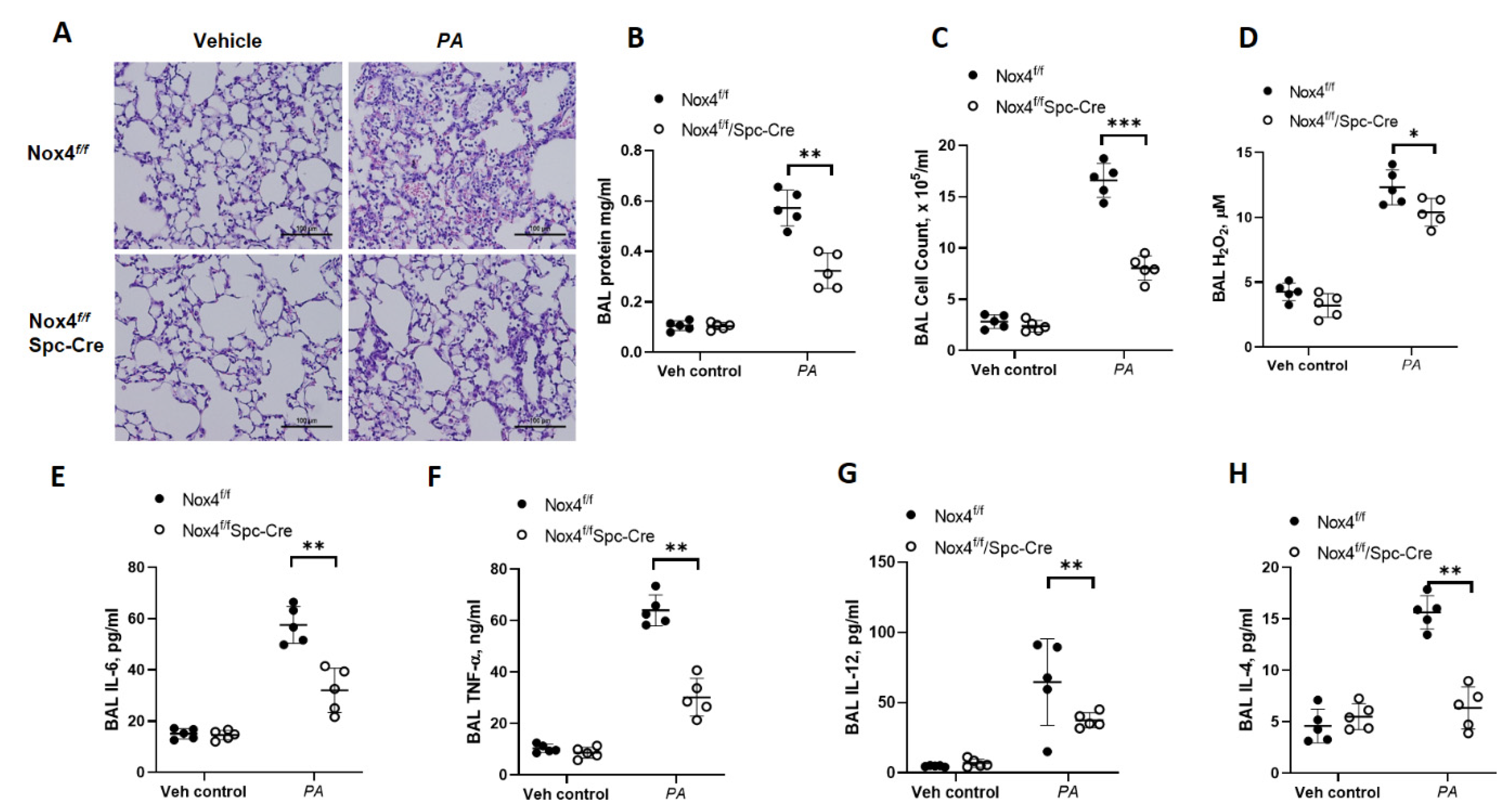 Antioxidants 10 00477 g001