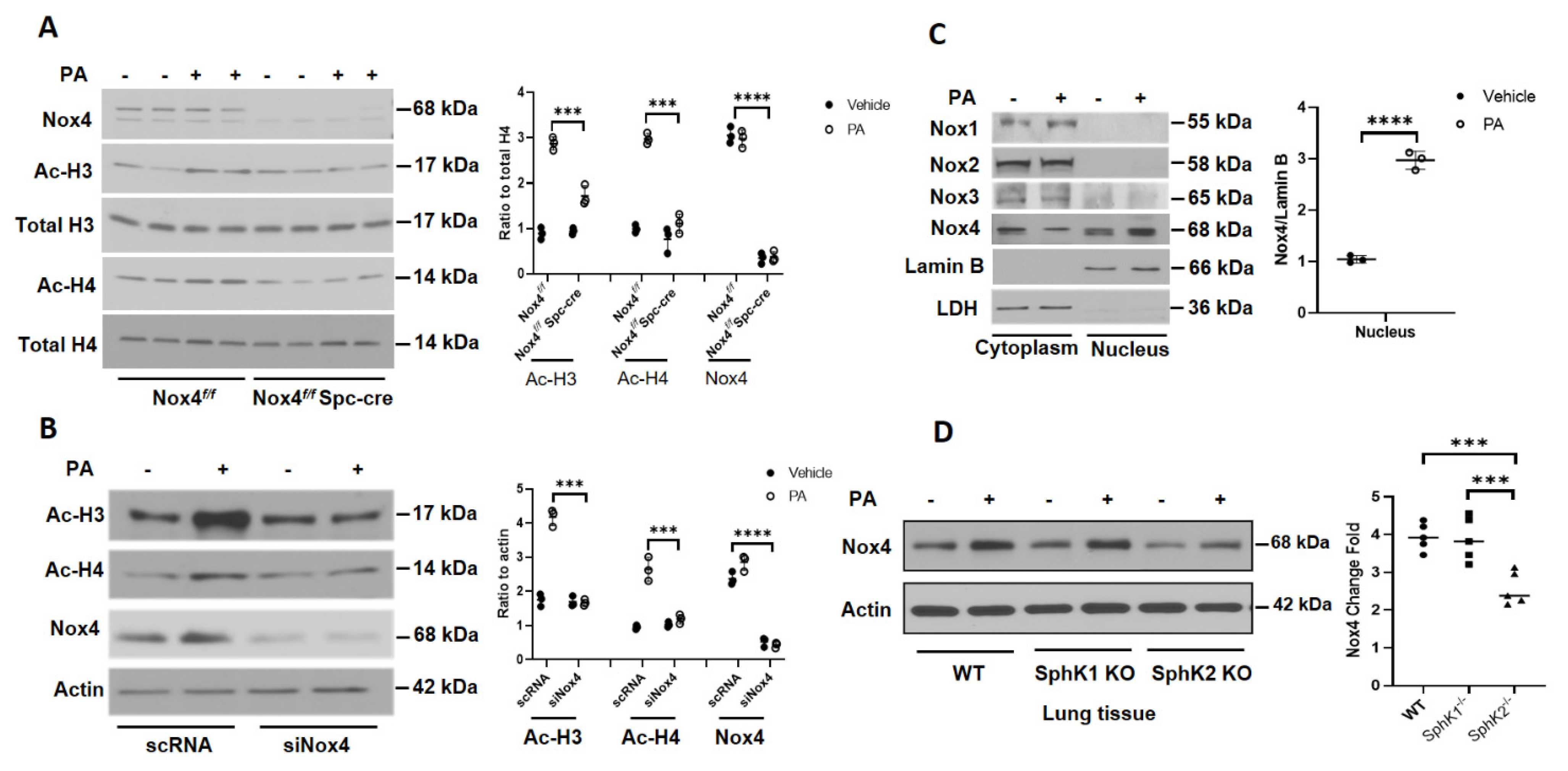 Antioxidants 10 00477 g003