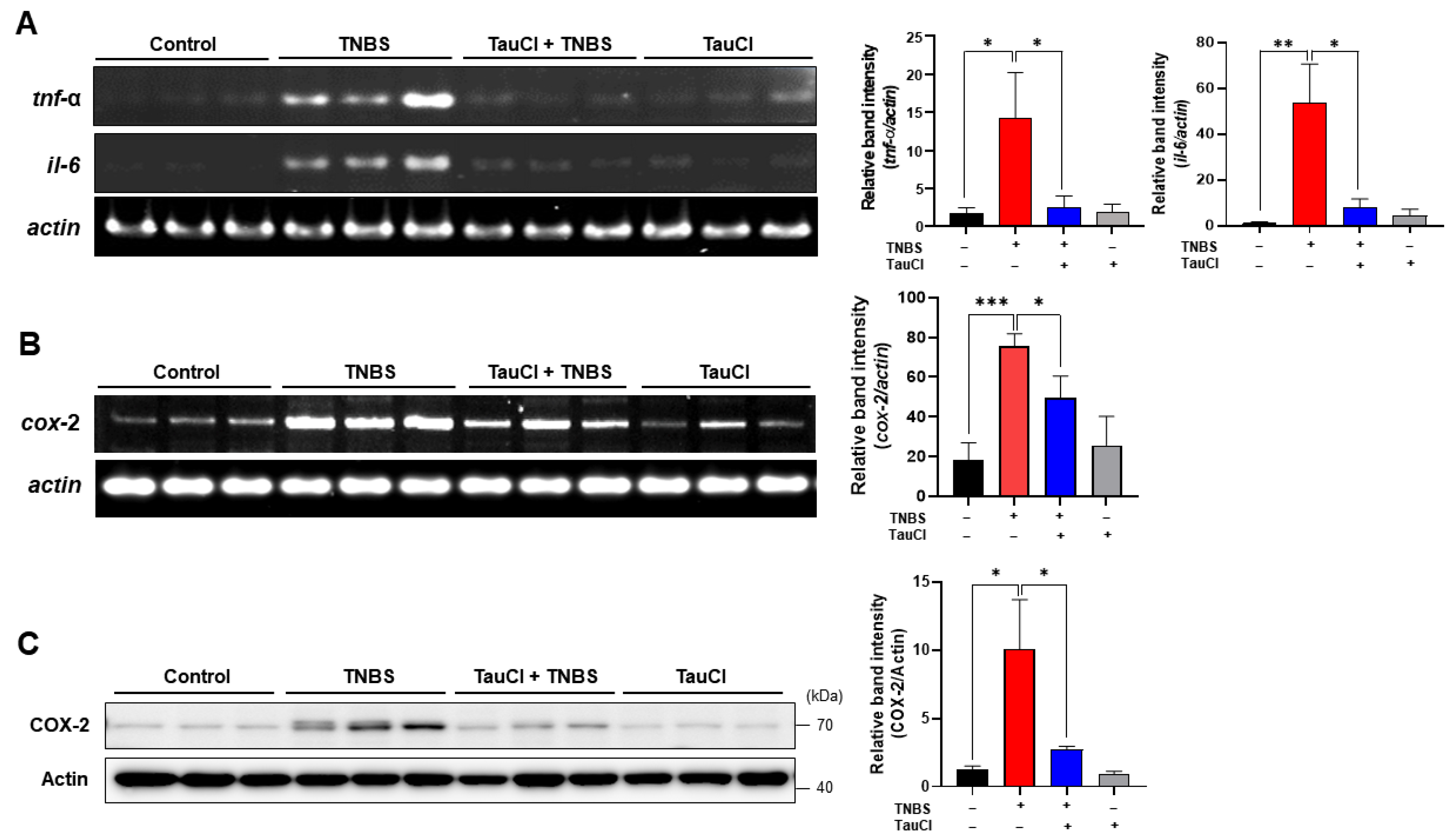 Antioxidants 10 00479 g003 Antioxidants 10 00479 g003