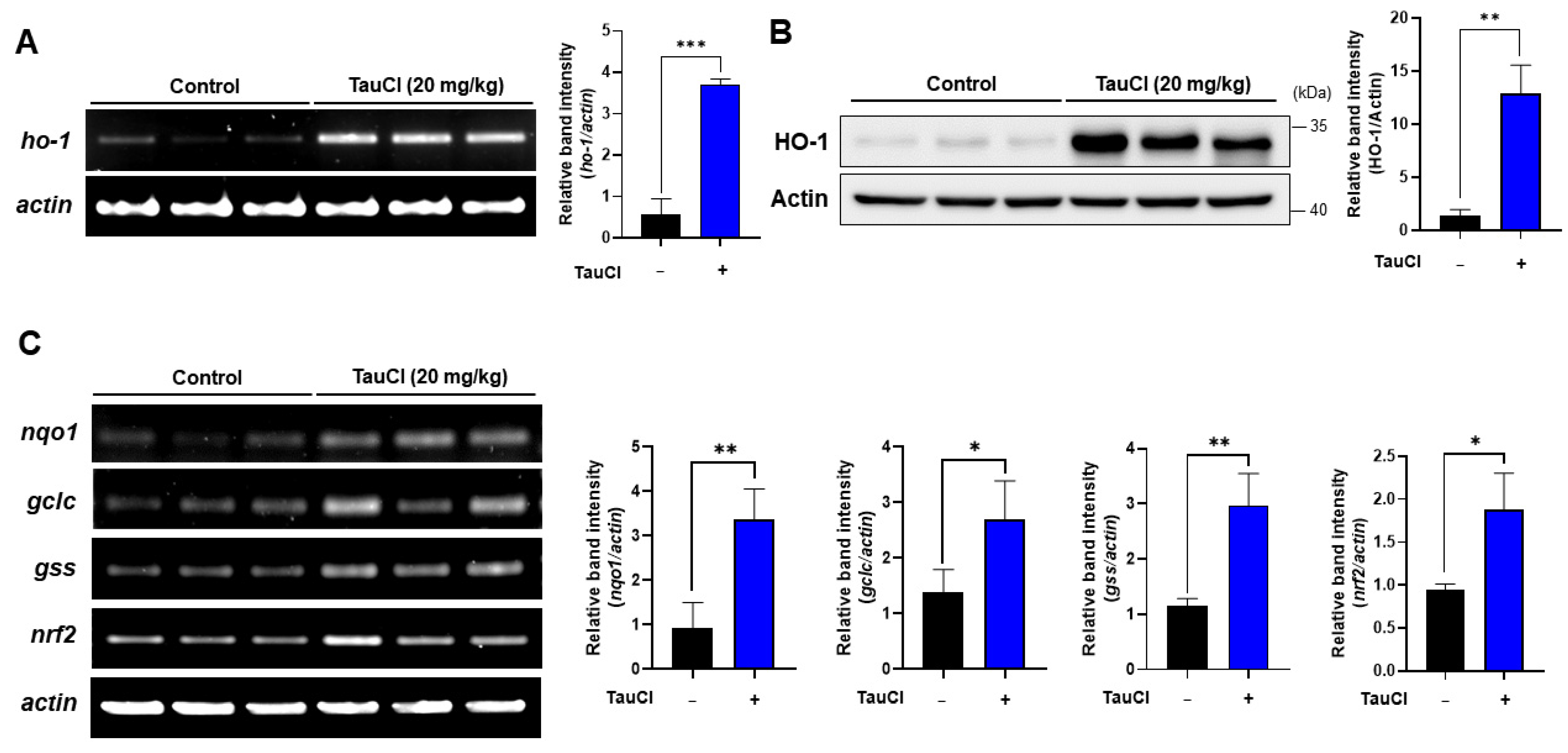 Antioxidants 10 00479 g006 Antioxidants 10 00479 g006