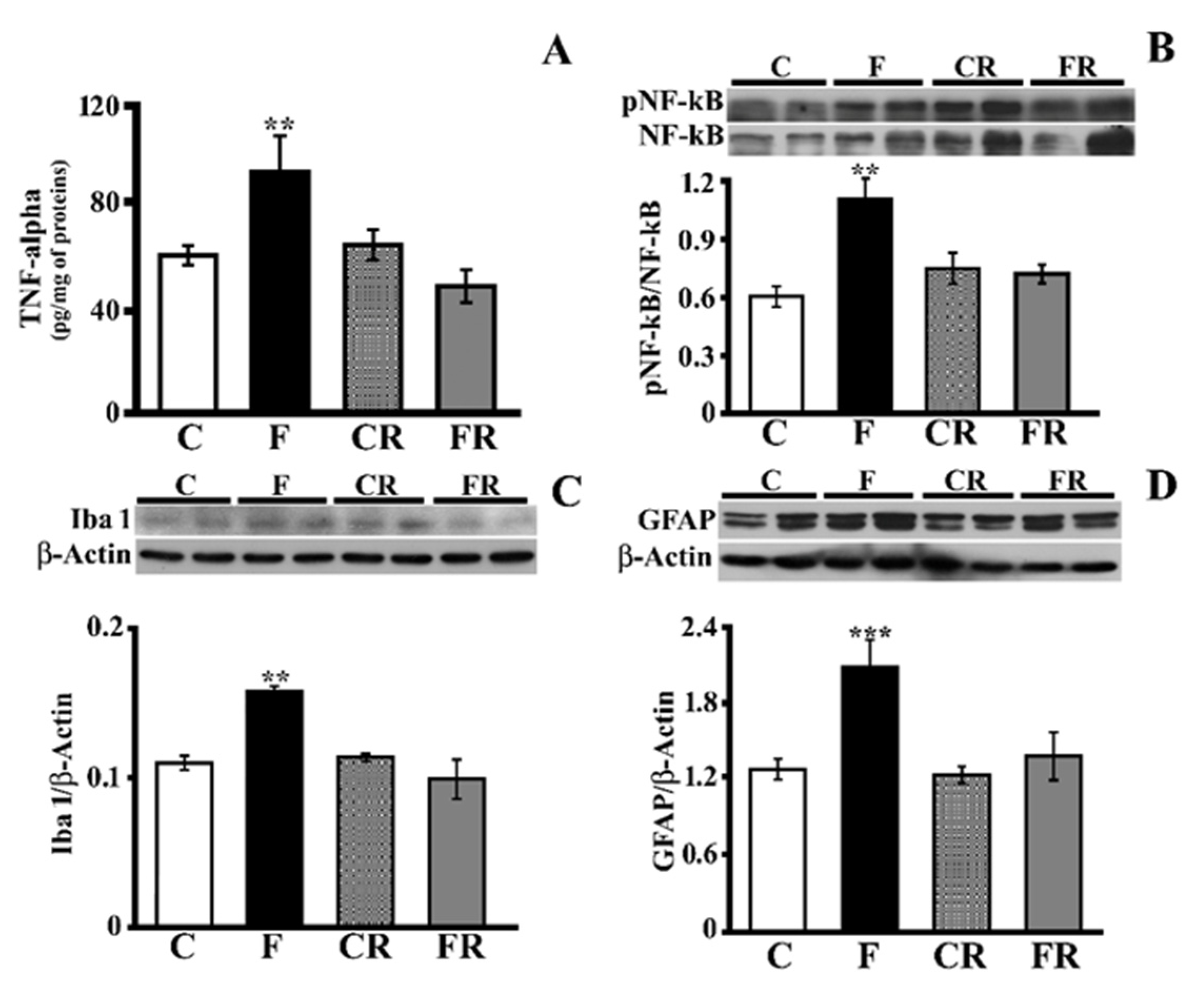 Antioxidants 10 00487 g002 Antioxidants 10 00487 g002