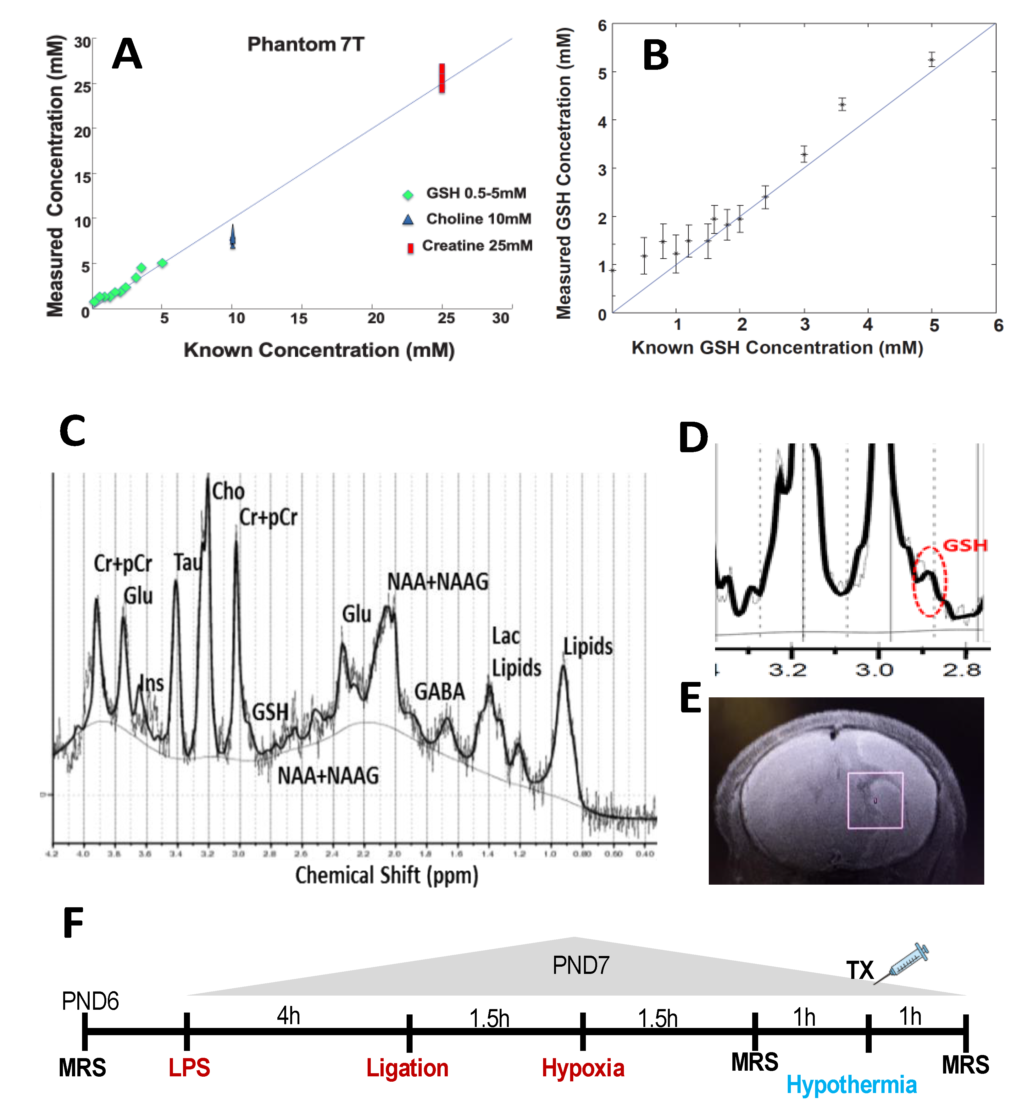 Antioxidants 10 00489 g001 Antioxidants 10 00489 g001