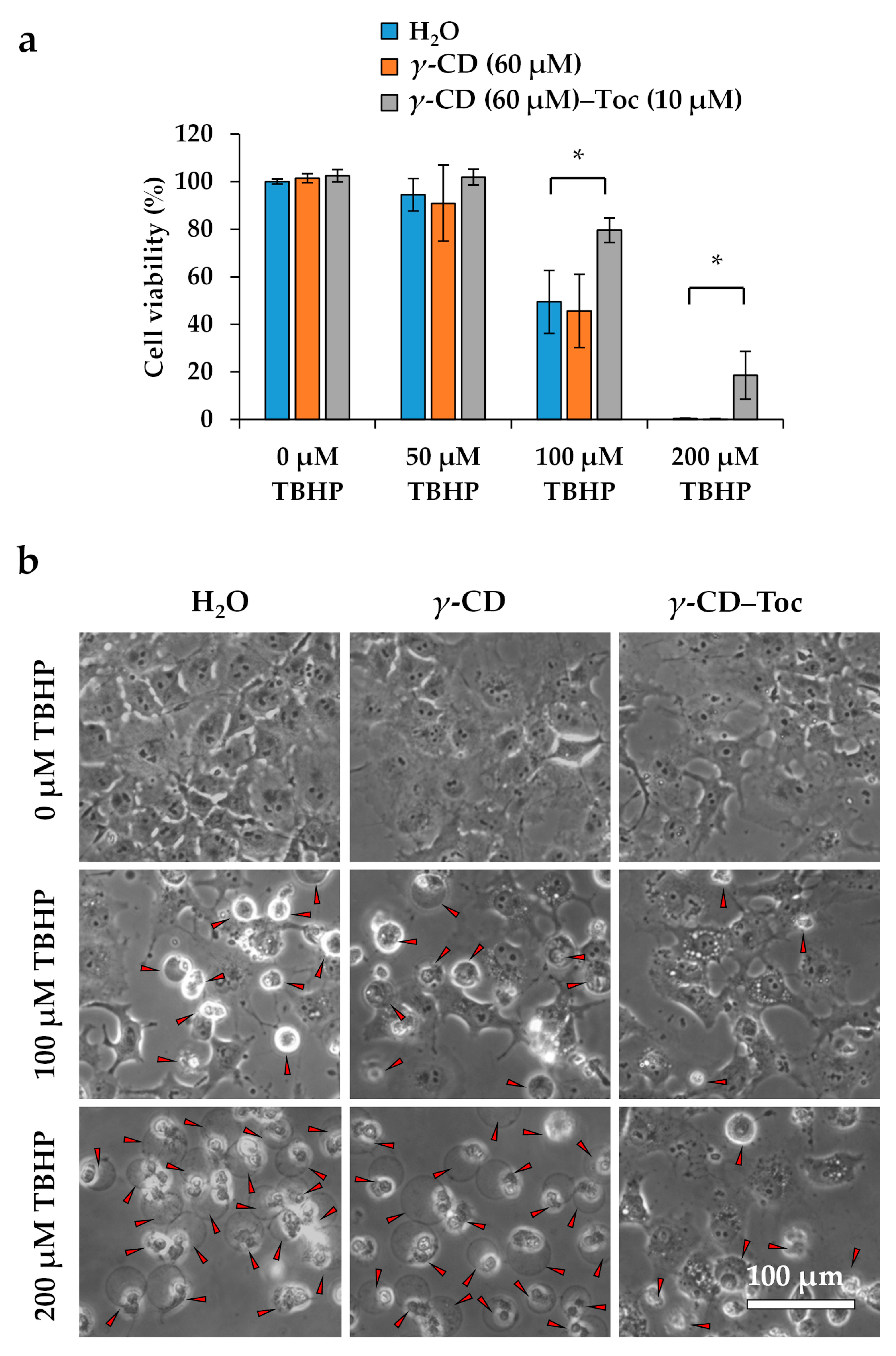 Antioxidants 10 00490 g005 Antioxidants 10 00490 g005