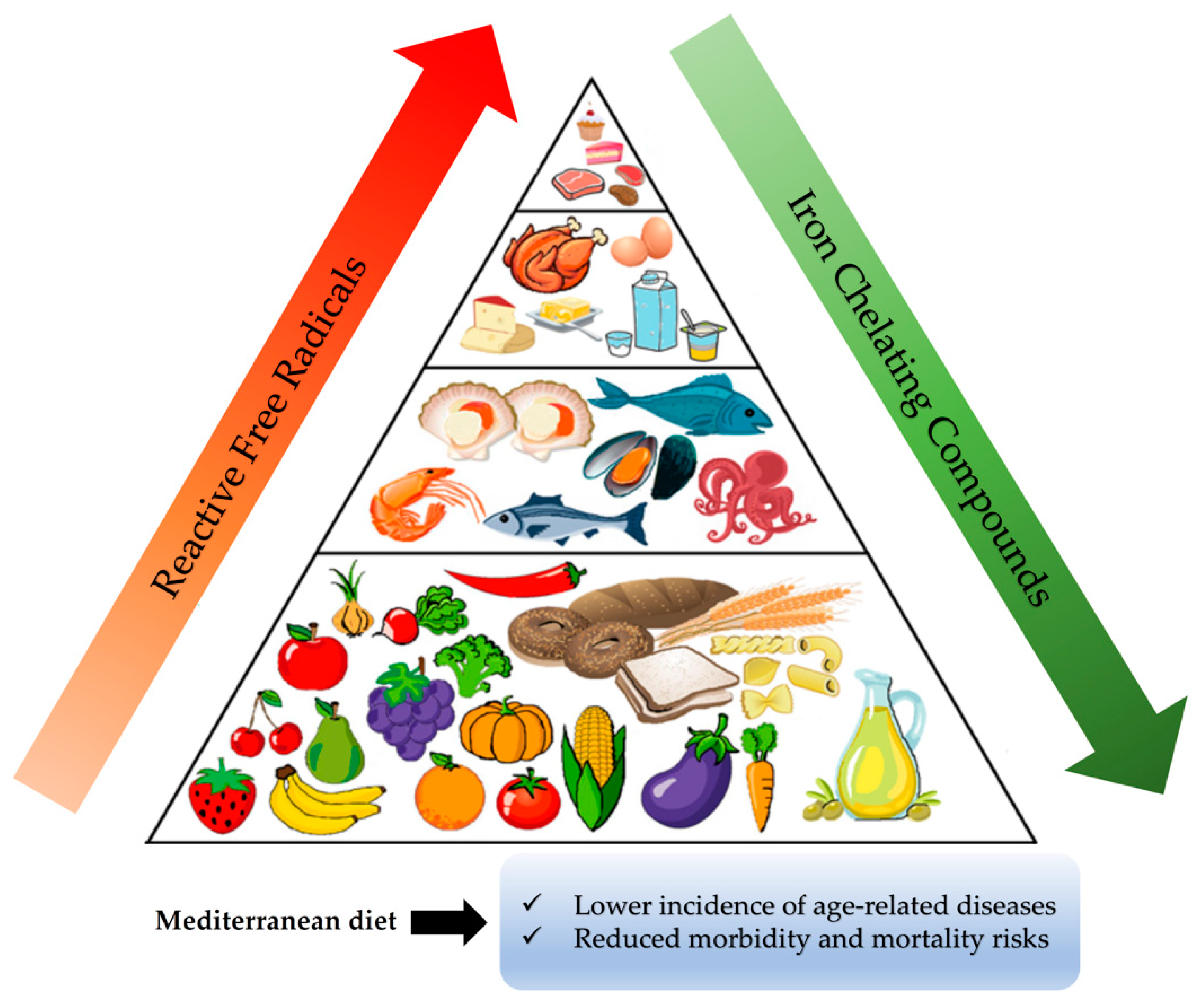 Antioxidants 10 00491 g004