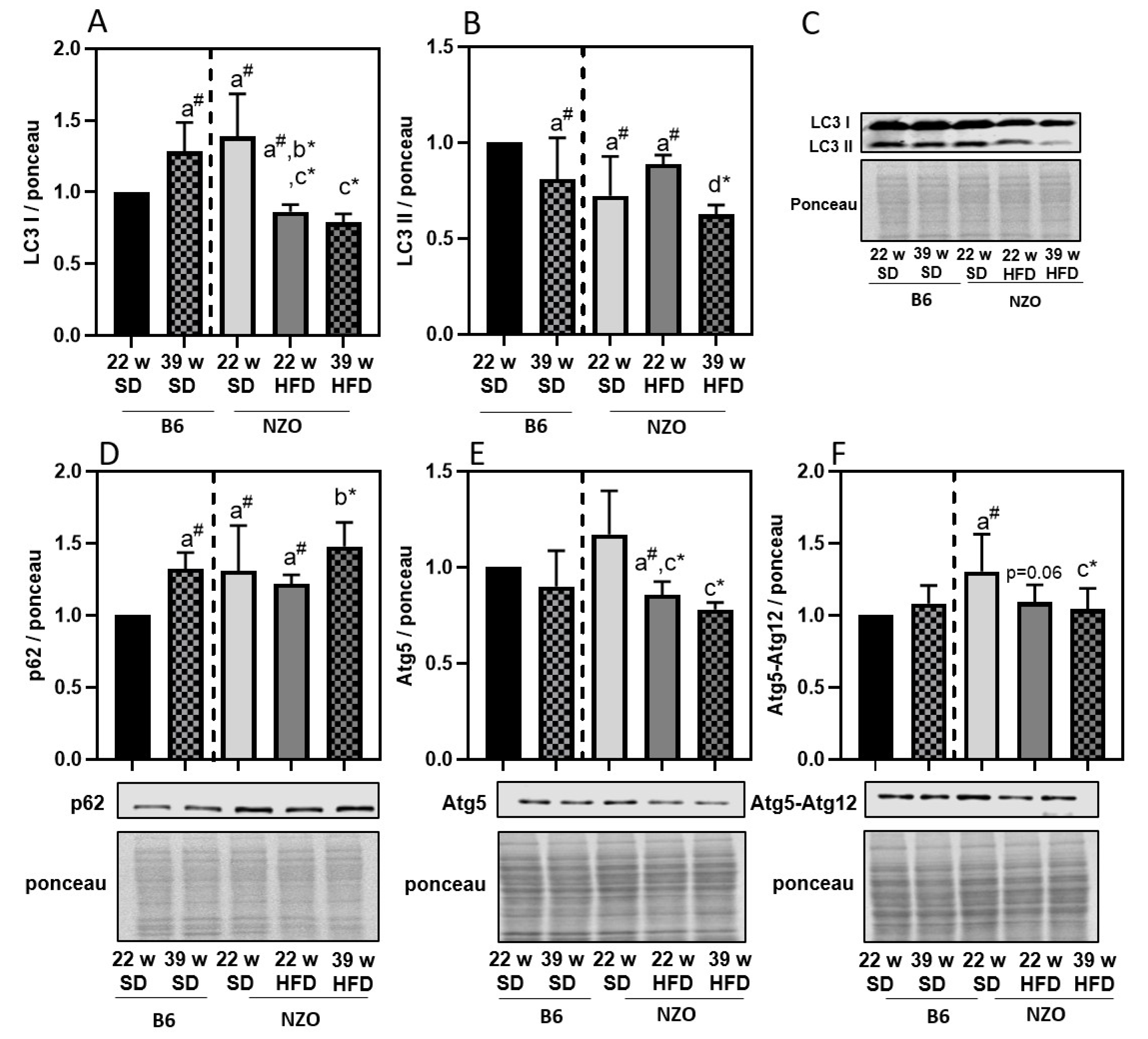 Antioxidants 10 00501 g002 Antioxidants 10 00501 g002