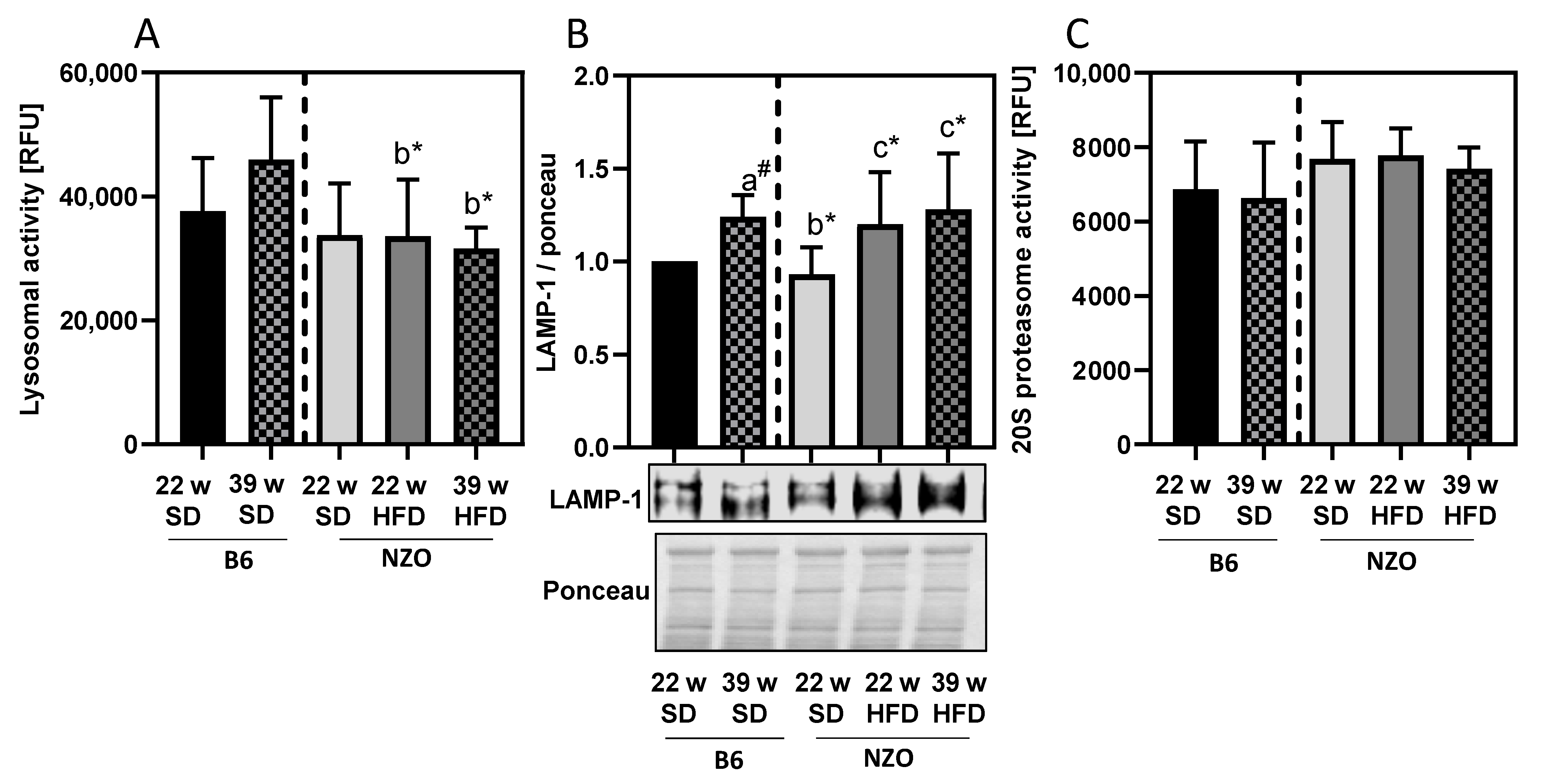 Antioxidants 10 00501 g003 Antioxidants 10 00501 g003