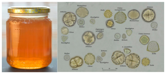 Antioxidants Special Issue Bee Products As A Source Of Natural Antioxidants Antioxidants Special Issue Bee Products As A Source Of Natural Antioxidants