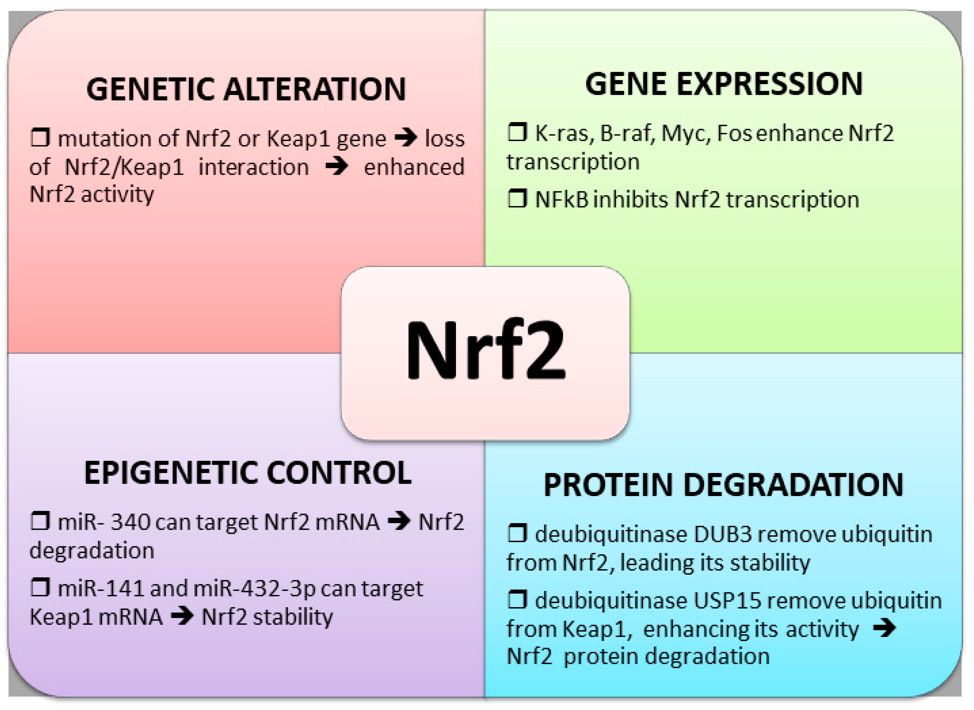 Antioxidants 10 00510 g003 Antioxidants 10 00510 g003