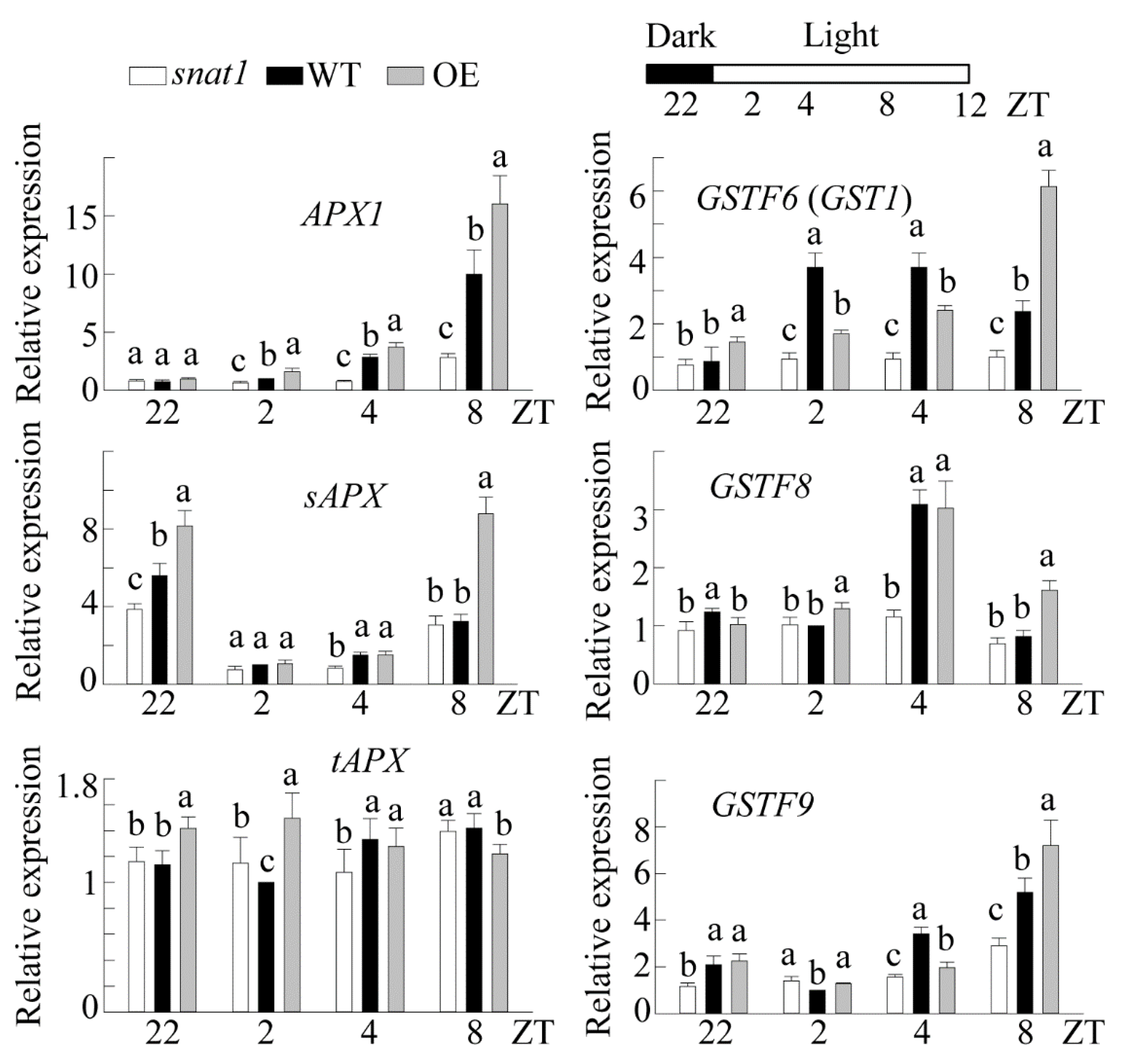 Antioxidants 10 00511 g005 Antioxidants 10 00511 g005