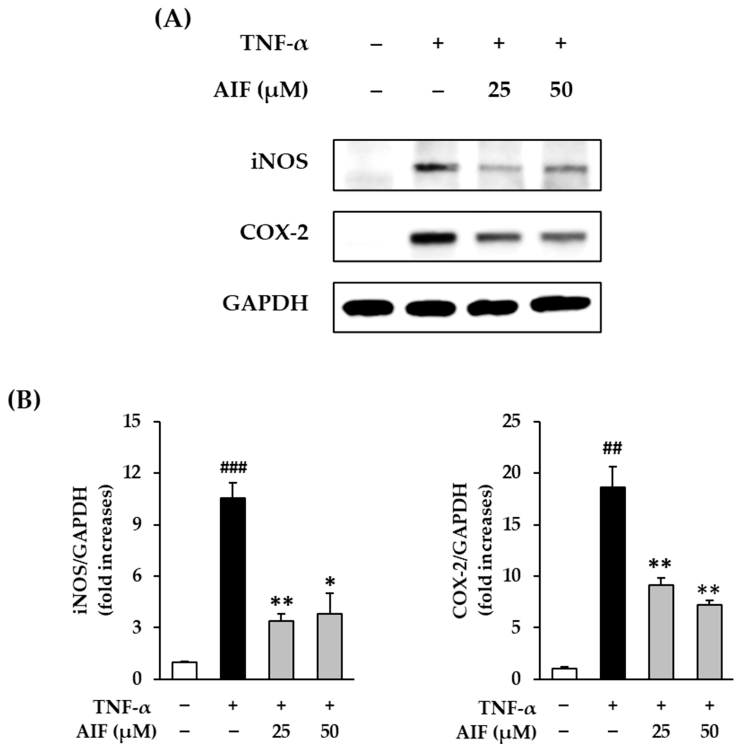 Antioxidants 10 00514 g004 Antioxidants 10 00514 g004