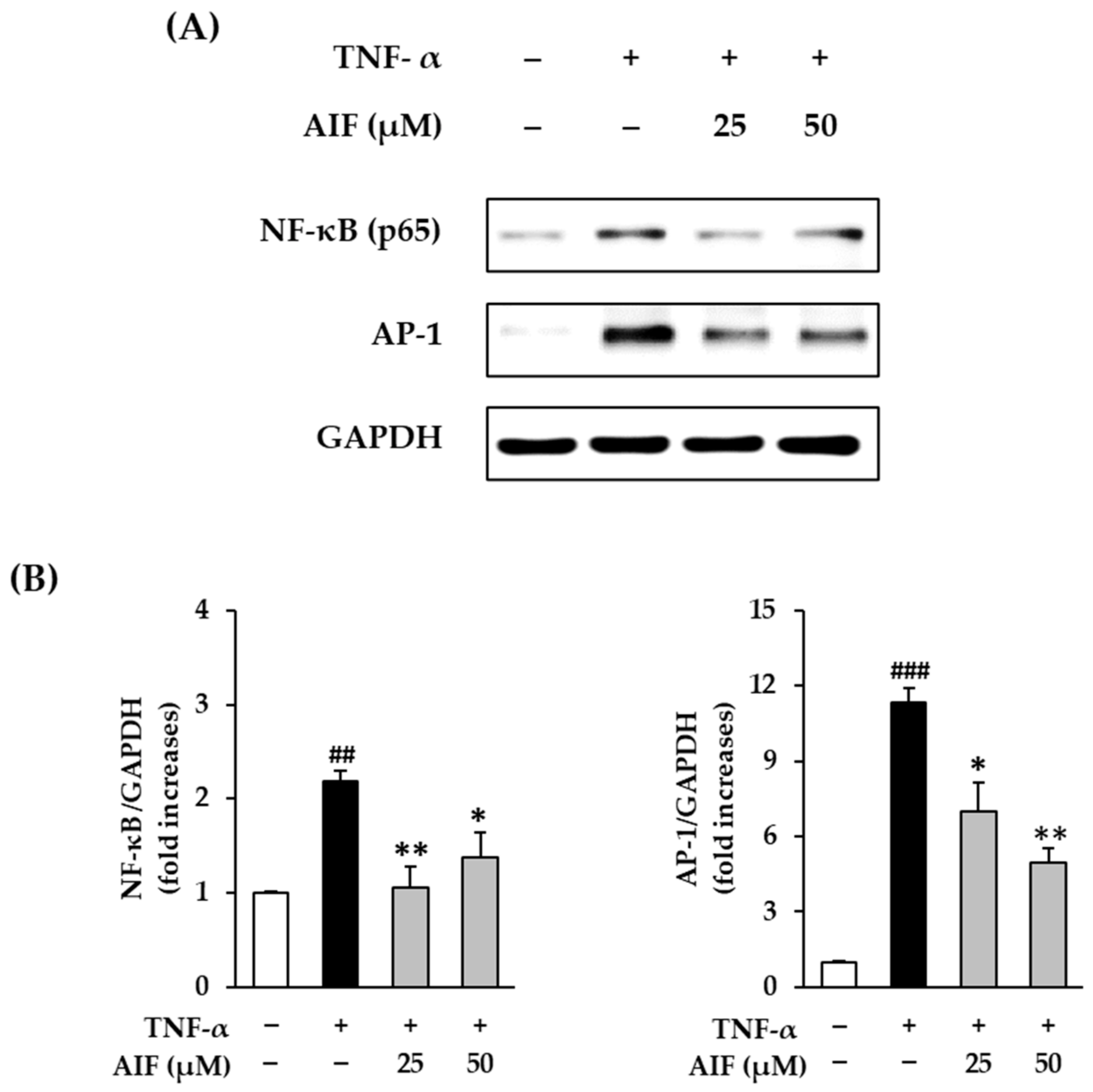 Antioxidants 10 00514 g007 Antioxidants 10 00514 g007