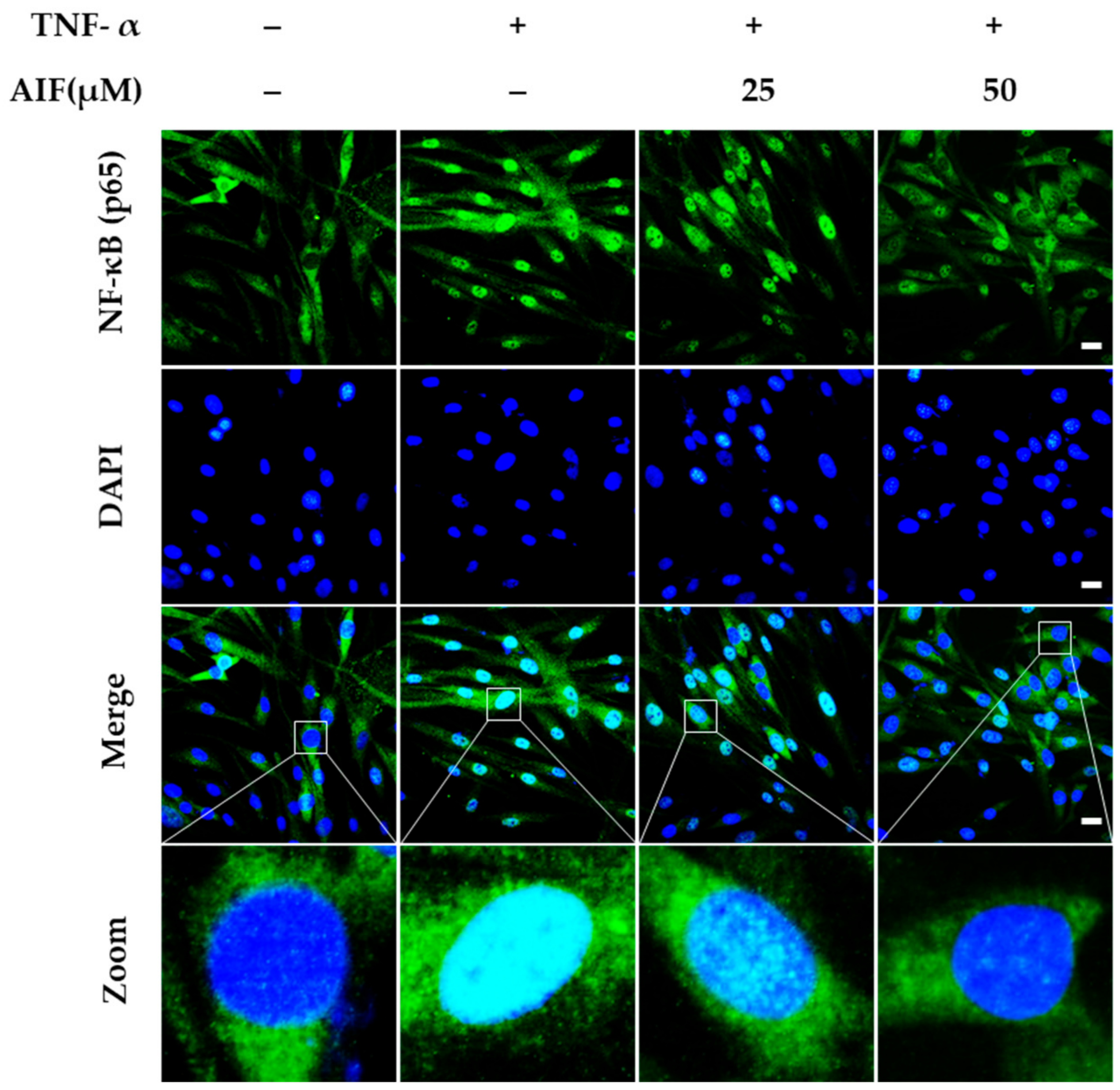 Antioxidants 10 00514 g008 Antioxidants 10 00514 g008