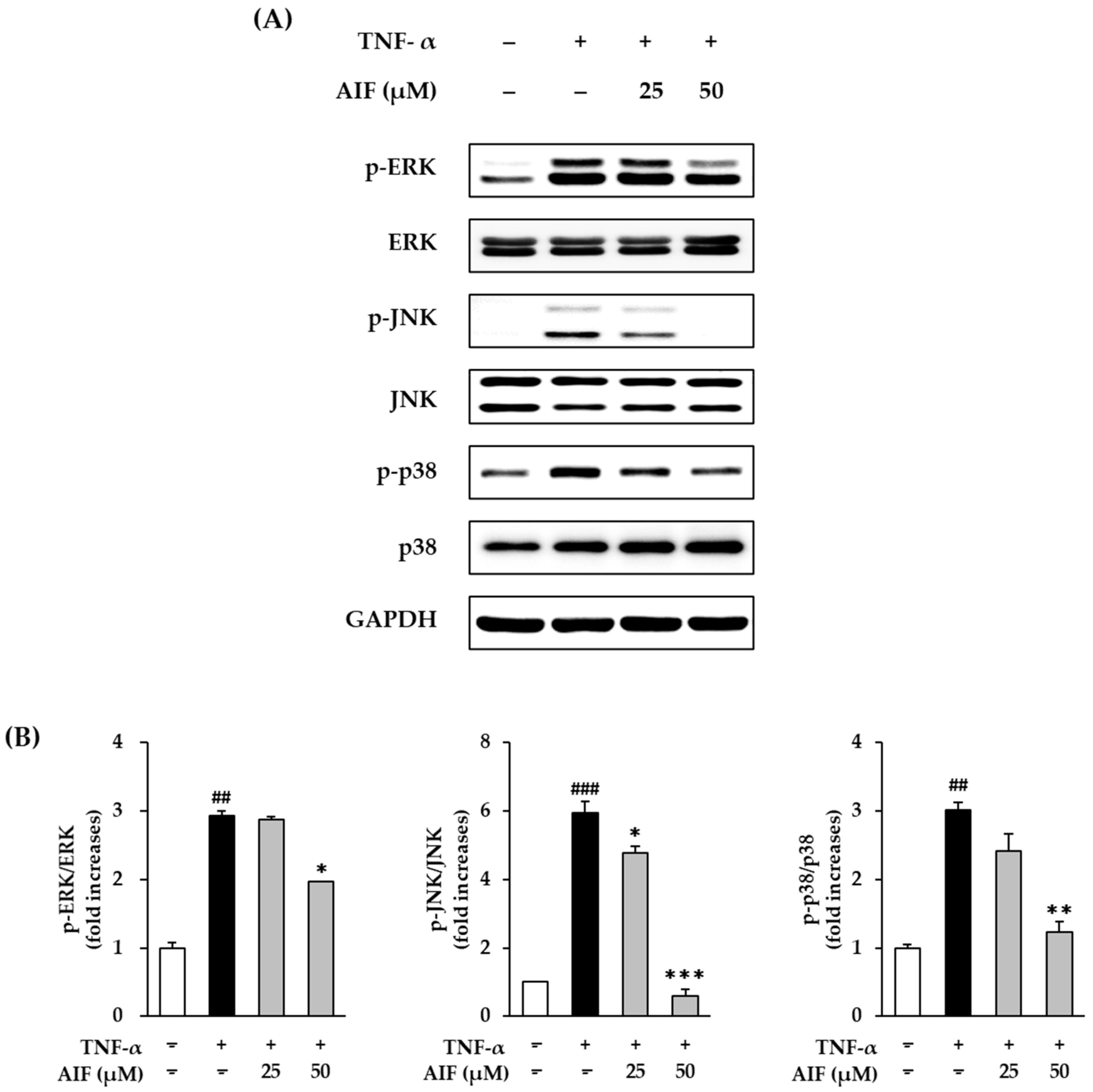 Antioxidants 10 00514 g009 Antioxidants 10 00514 g009