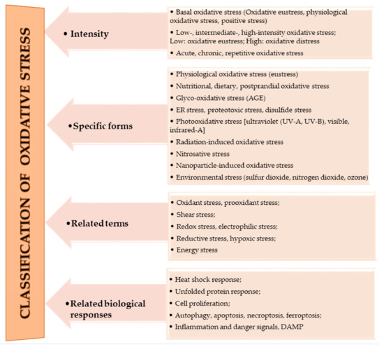 Antioxidants Free Full Text Exploring Molecular Insights Of Cereal Peptidic Antioxidants In Metabolic Syndrome Prevention Html