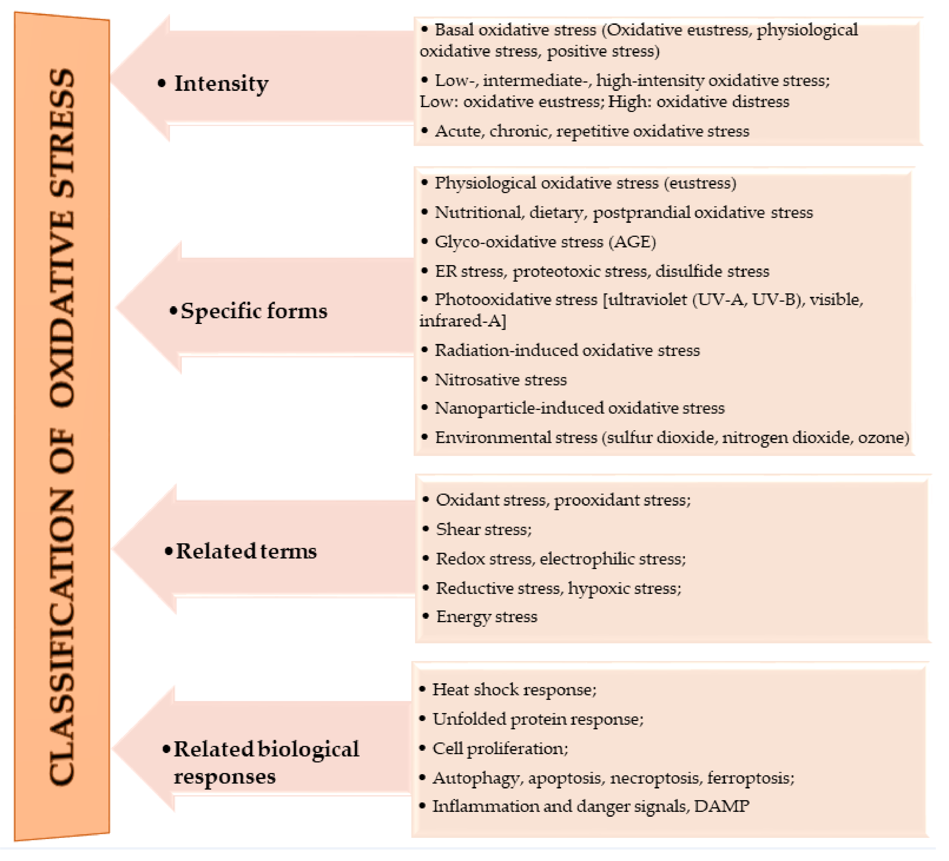 Antioxidants 10 00518 g001