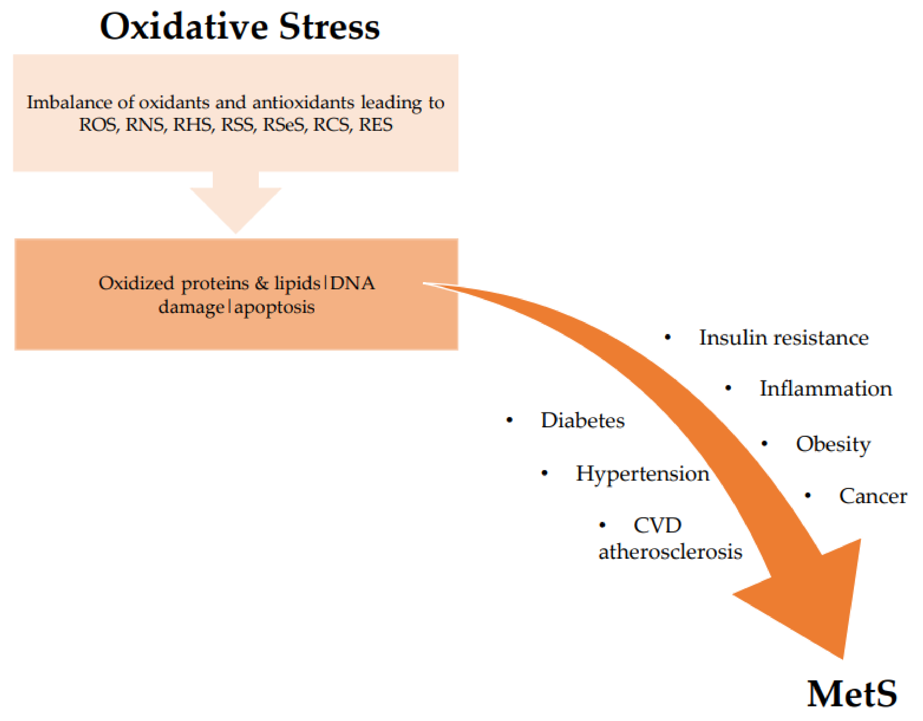Antioxidants 10 00518 g002