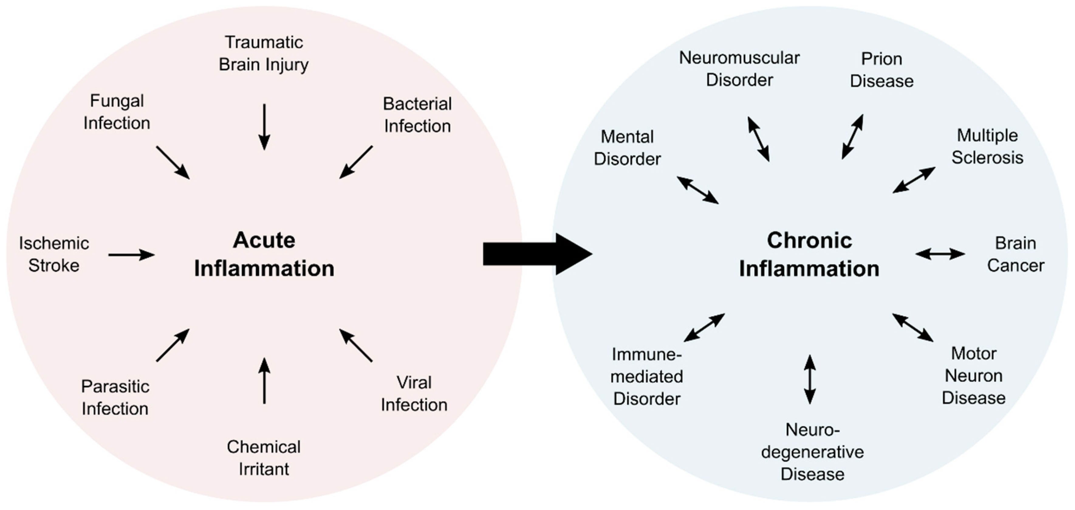 Antioxidants Free Full Text Imaging Biomarkers For Monitoring The Inflammatory Redox Landscape In The Brain Html