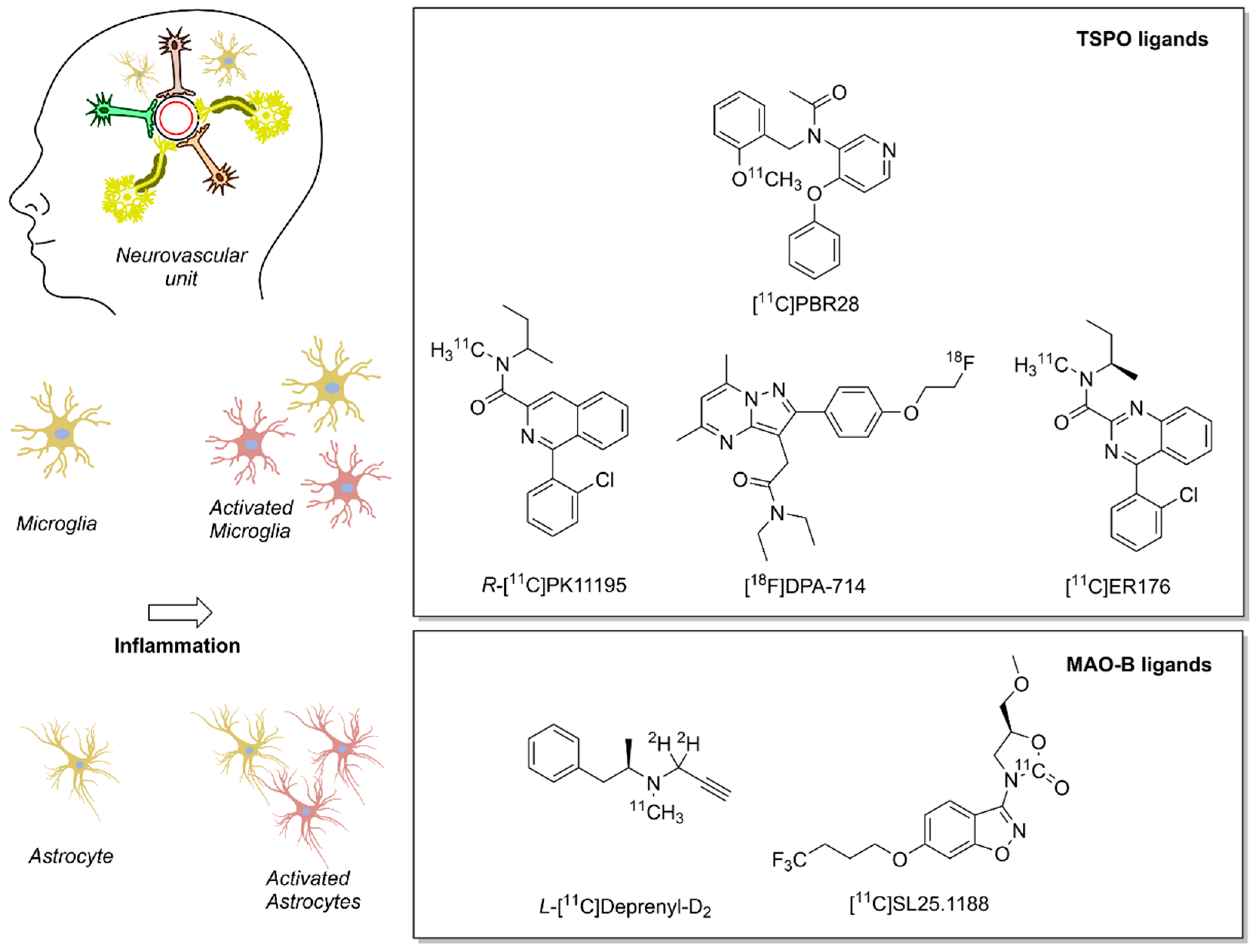 Antioxidants 10 00528 g003 Antioxidants 10 00528 g003