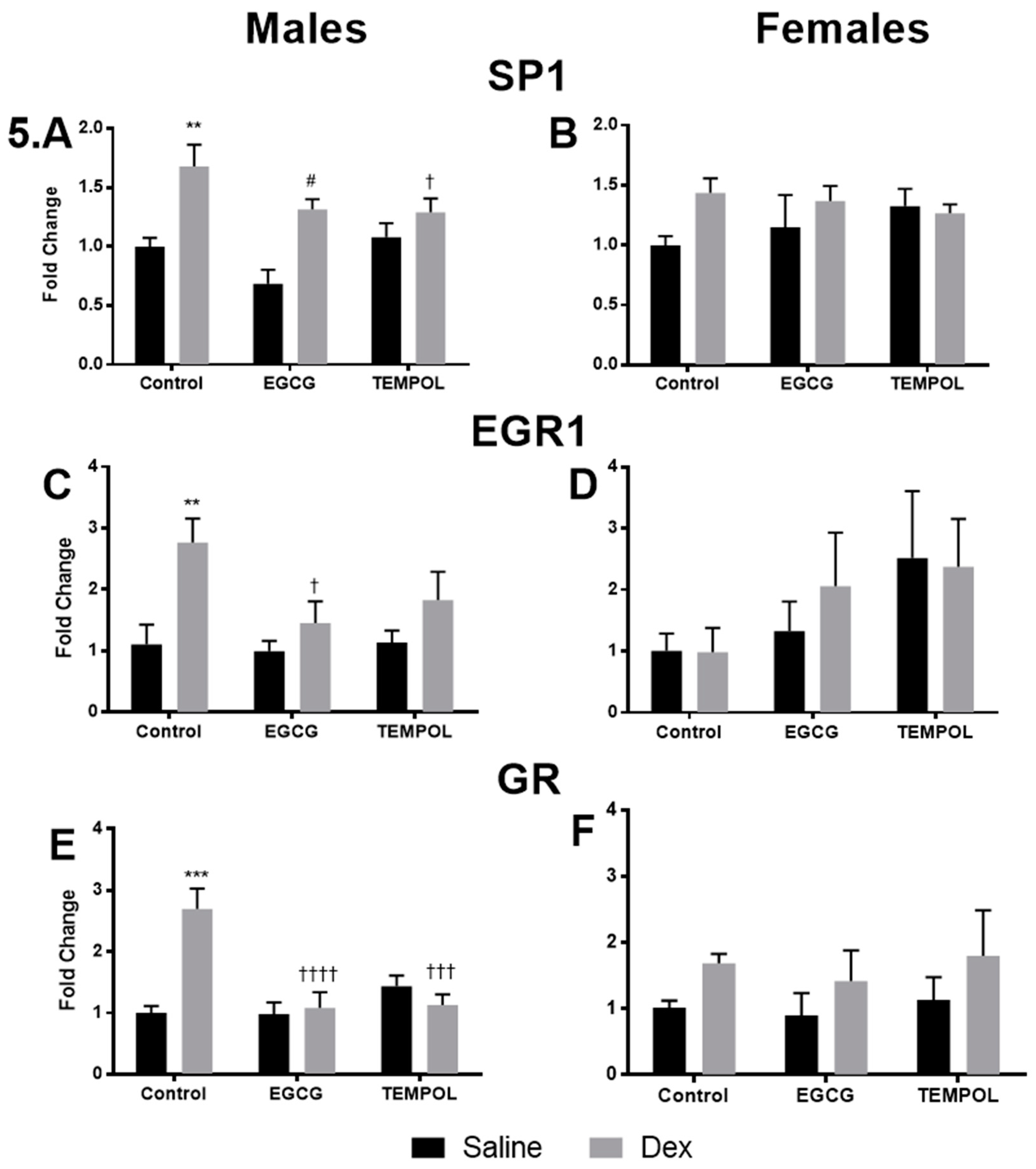 Antioxidants 10 00531 g005
