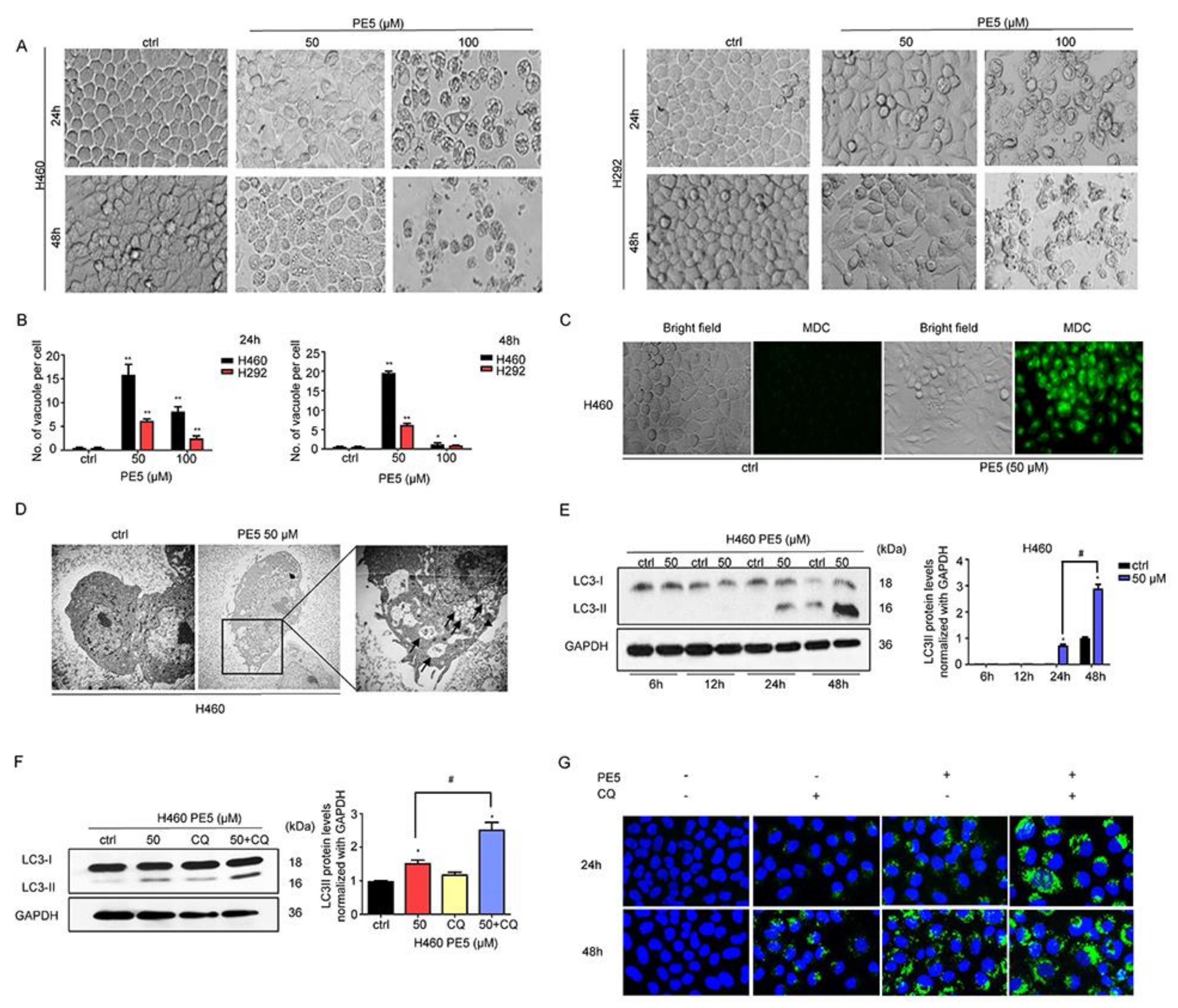 Antioxidants 10 00534 g002 Antioxidants 10 00534 g002