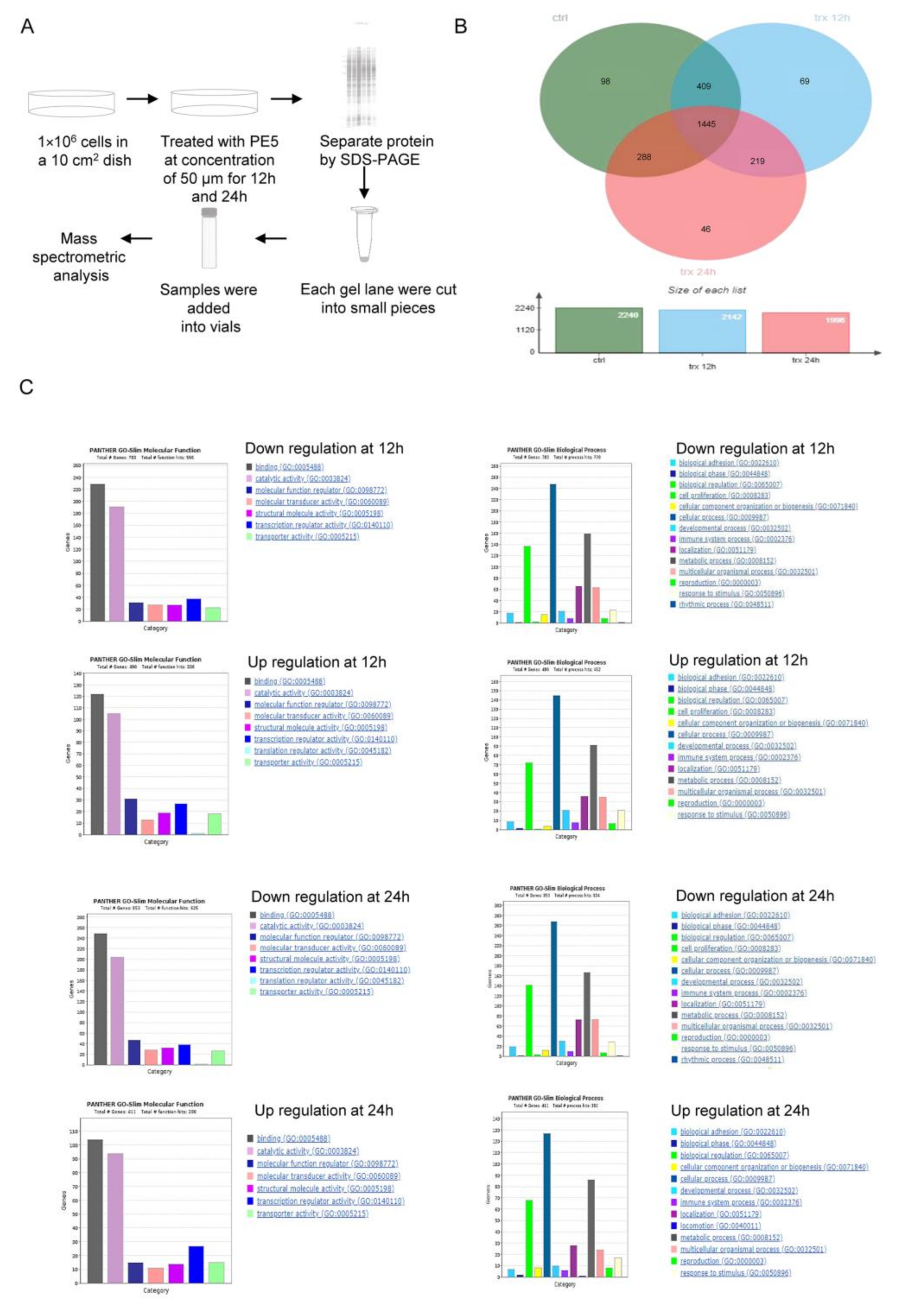 Antioxidants 10 00534 g004 Antioxidants 10 00534 g004