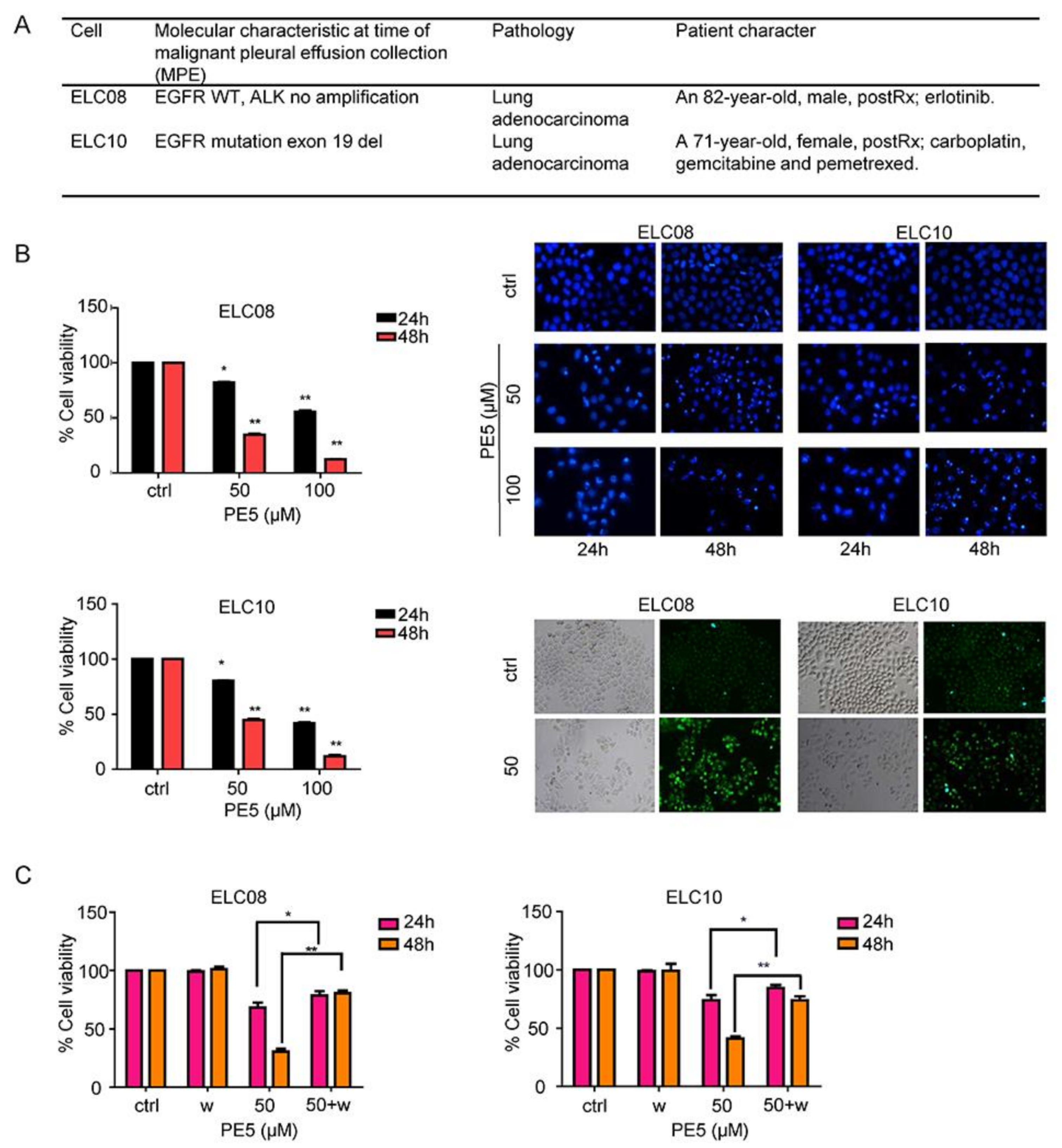 Antioxidants 10 00534 g007 Antioxidants 10 00534 g007