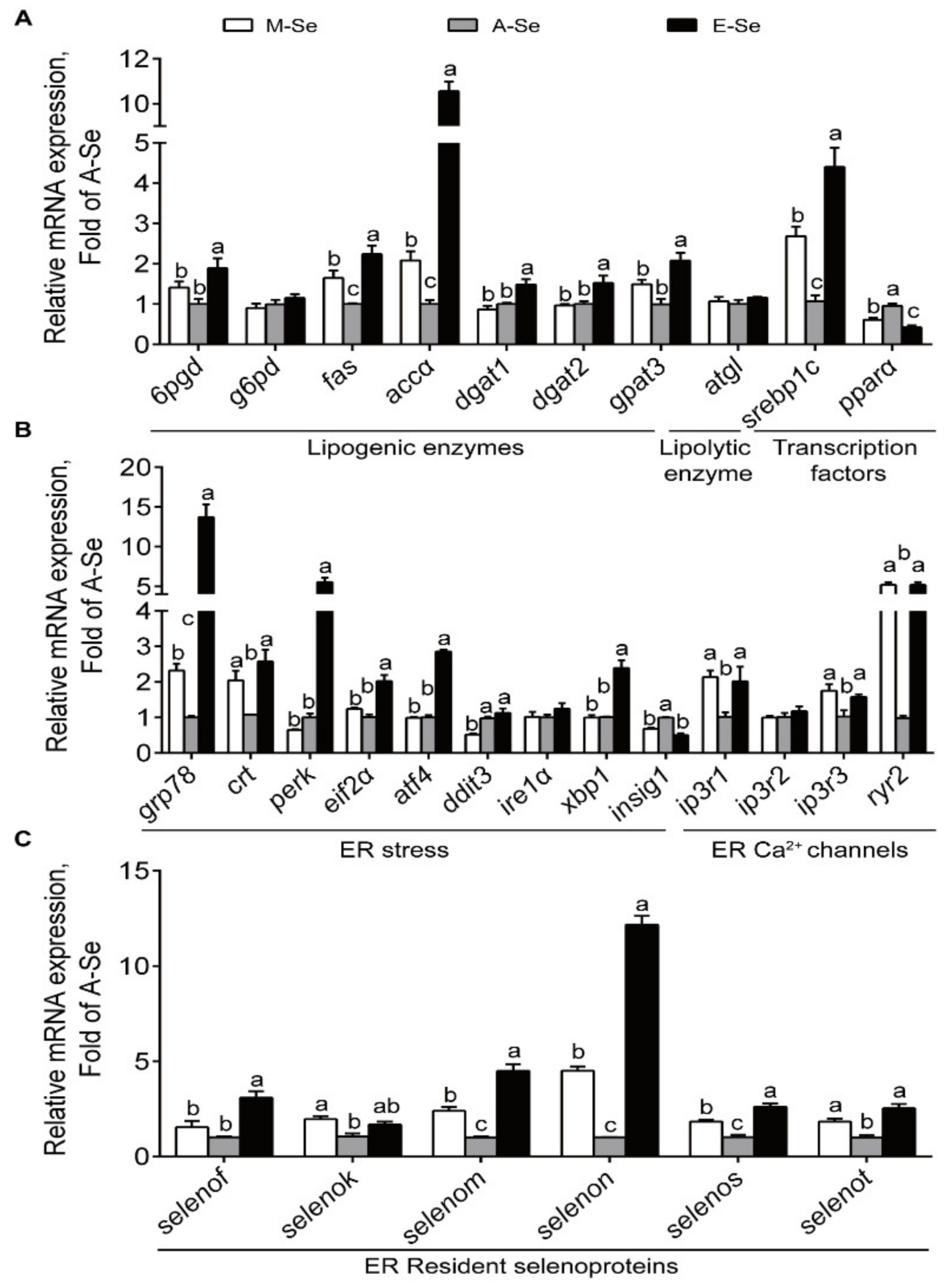 Antioxidants 10 00535 g005