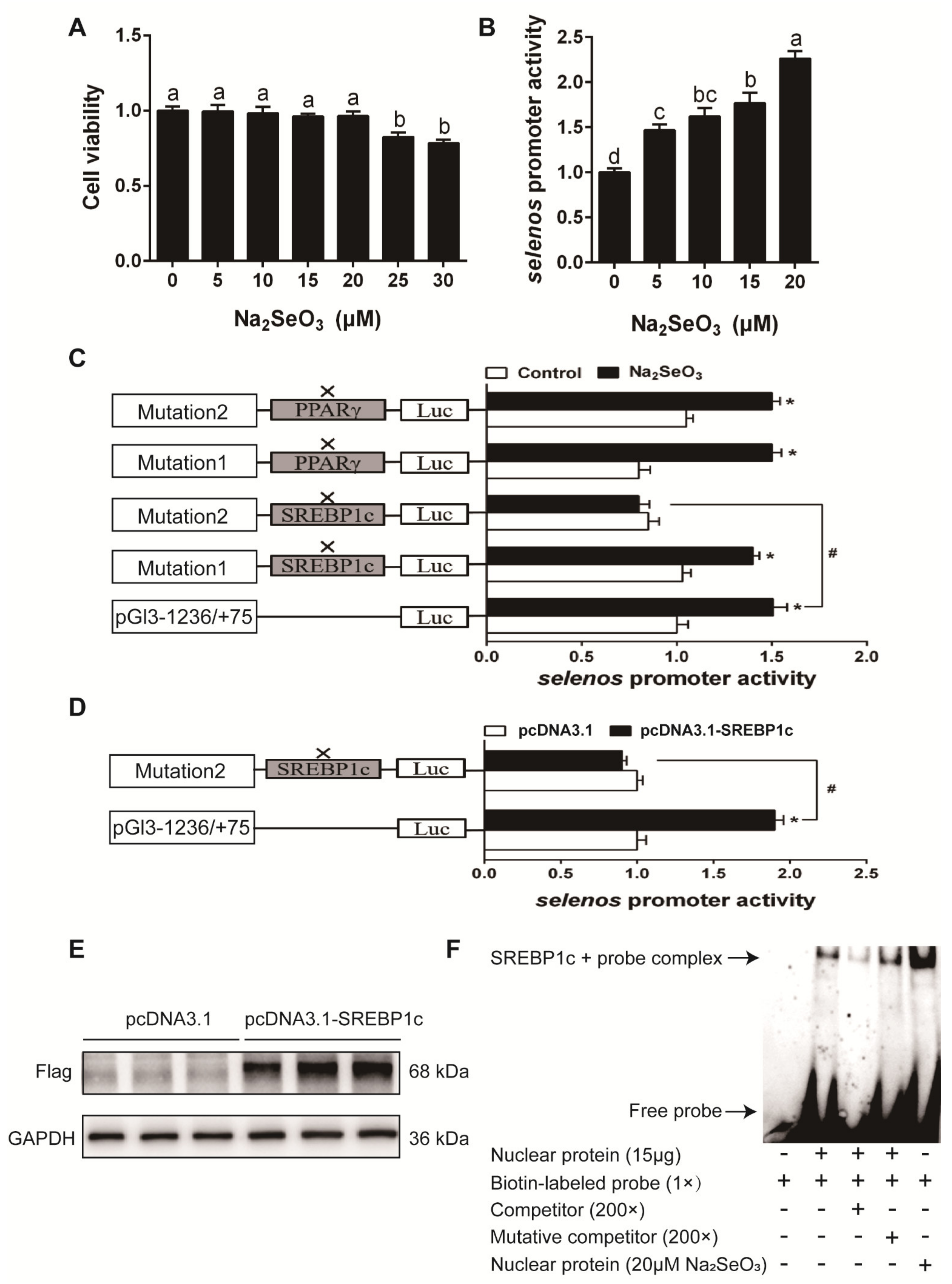 Antioxidants 10 00535 g008