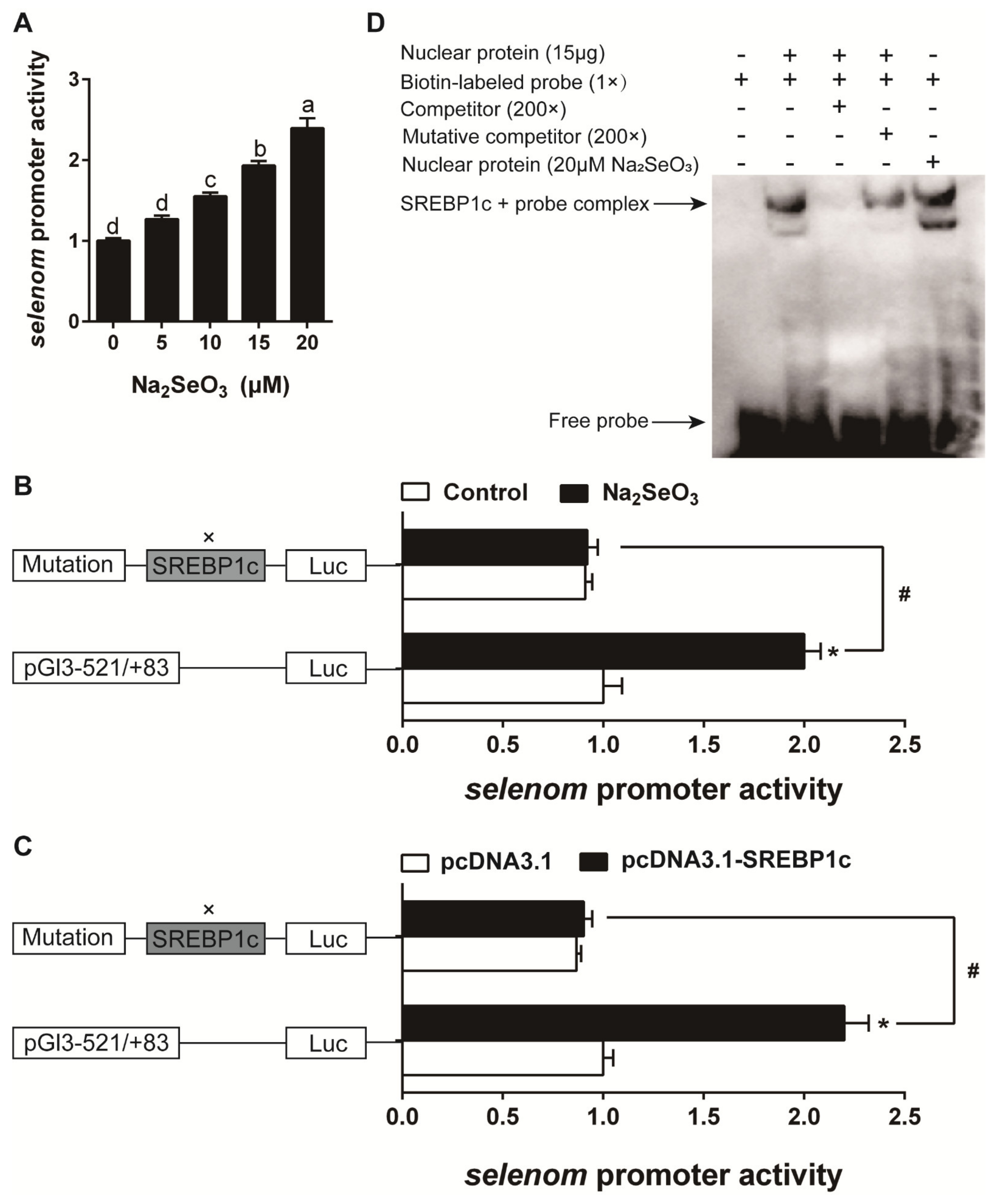 Antioxidants 10 00535 g009