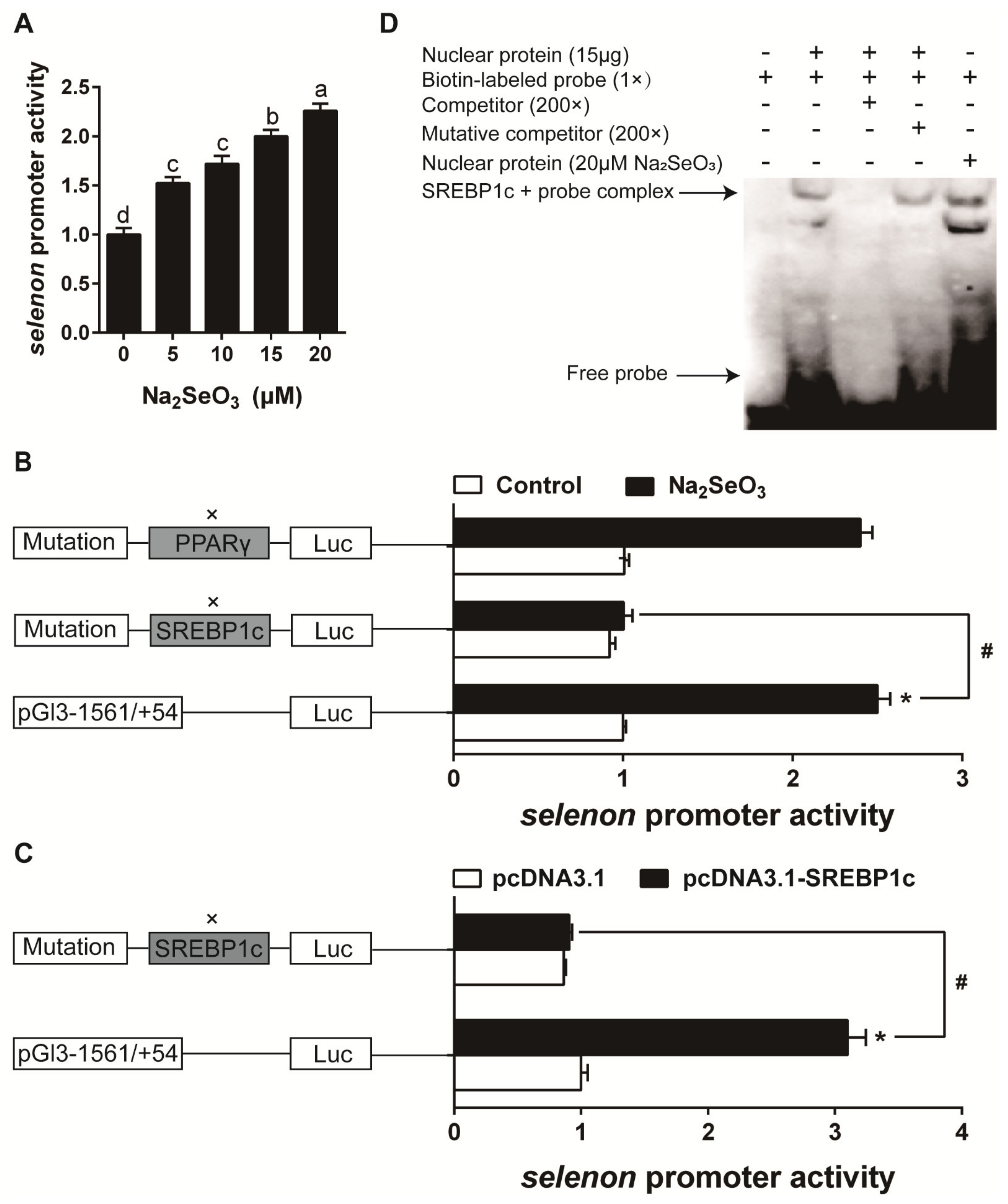 Antioxidants 10 00535 g010