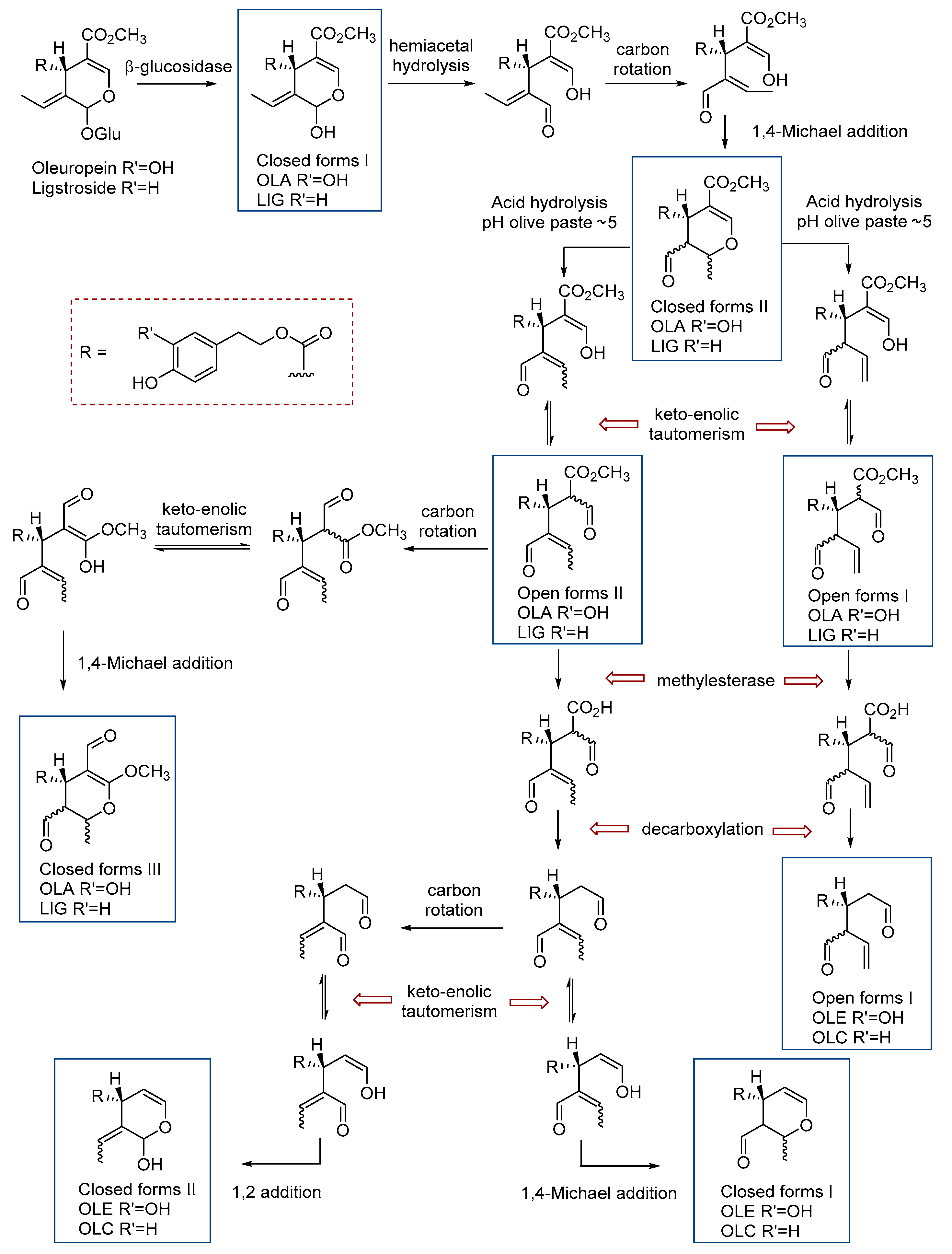 Antioxidants 10 00540 g001 Antioxidants 10 00540 g001