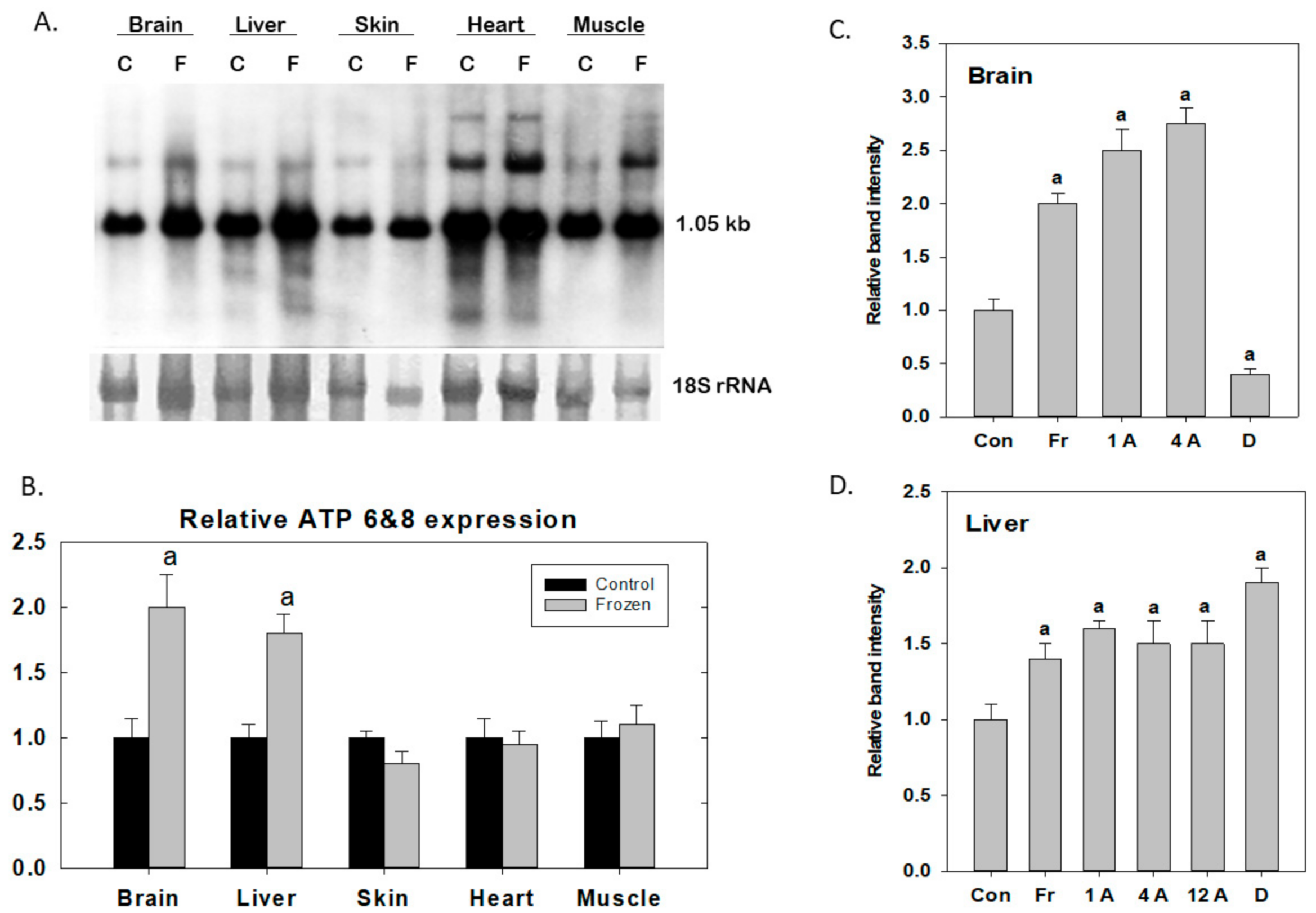 Antioxidants 10 00543 g002