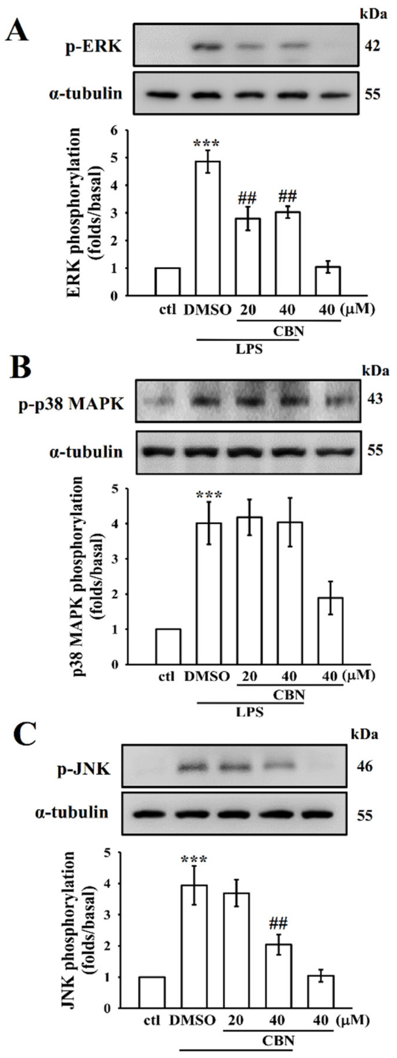 Antioxidants 10 00553 g002 Antioxidants 10 00553 g002