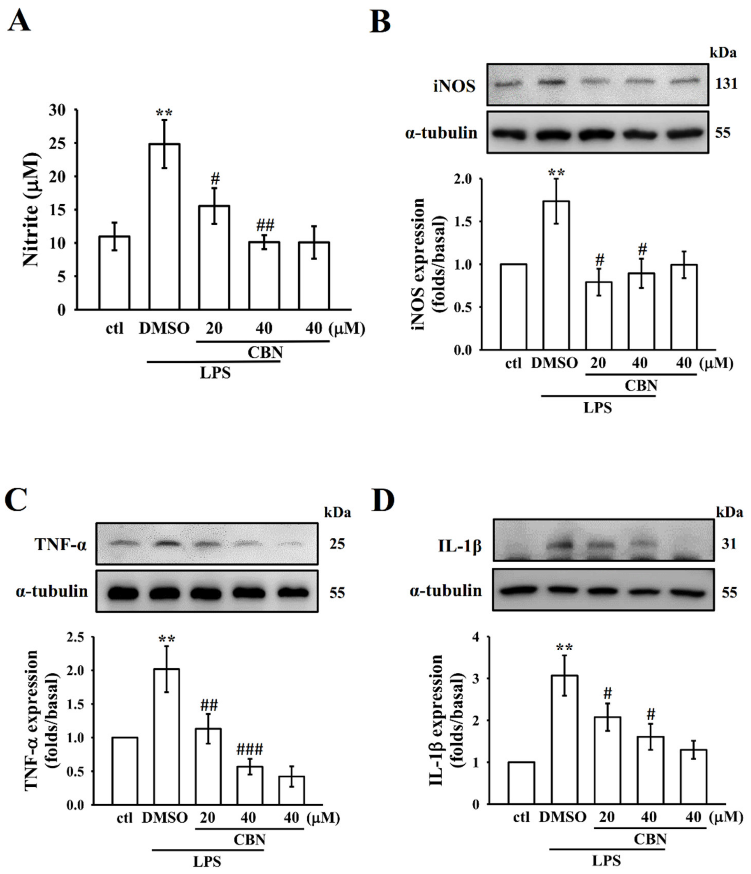 Antioxidants 10 00553 g004 Antioxidants 10 00553 g004