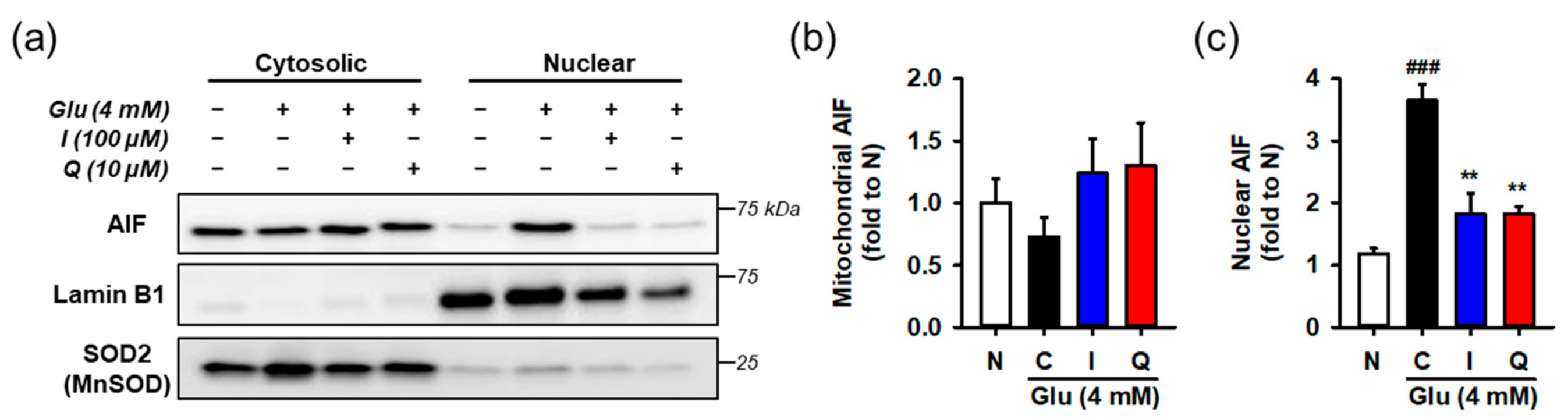 Antioxidants 10 00554 g006