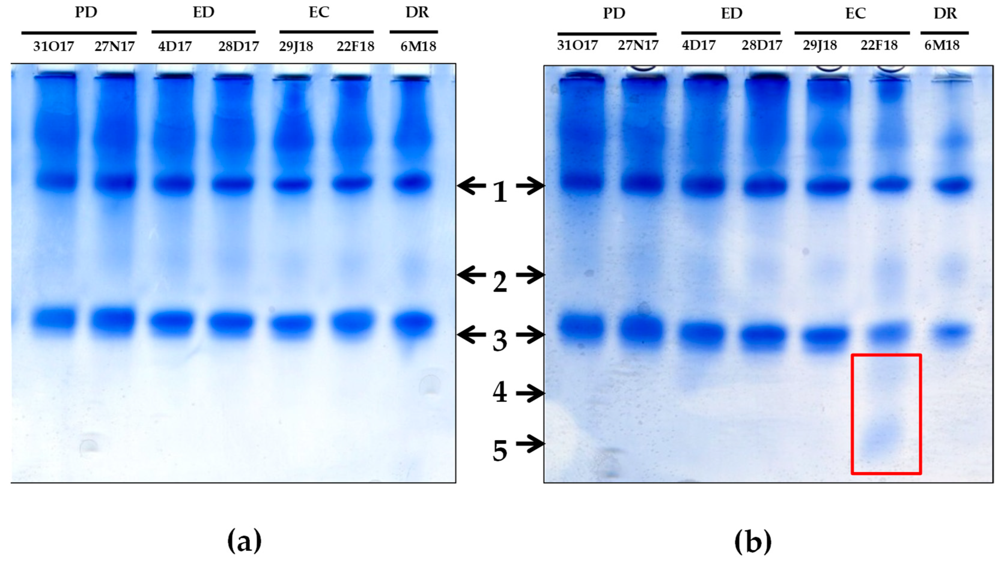 Antioxidants 10 00560 g014