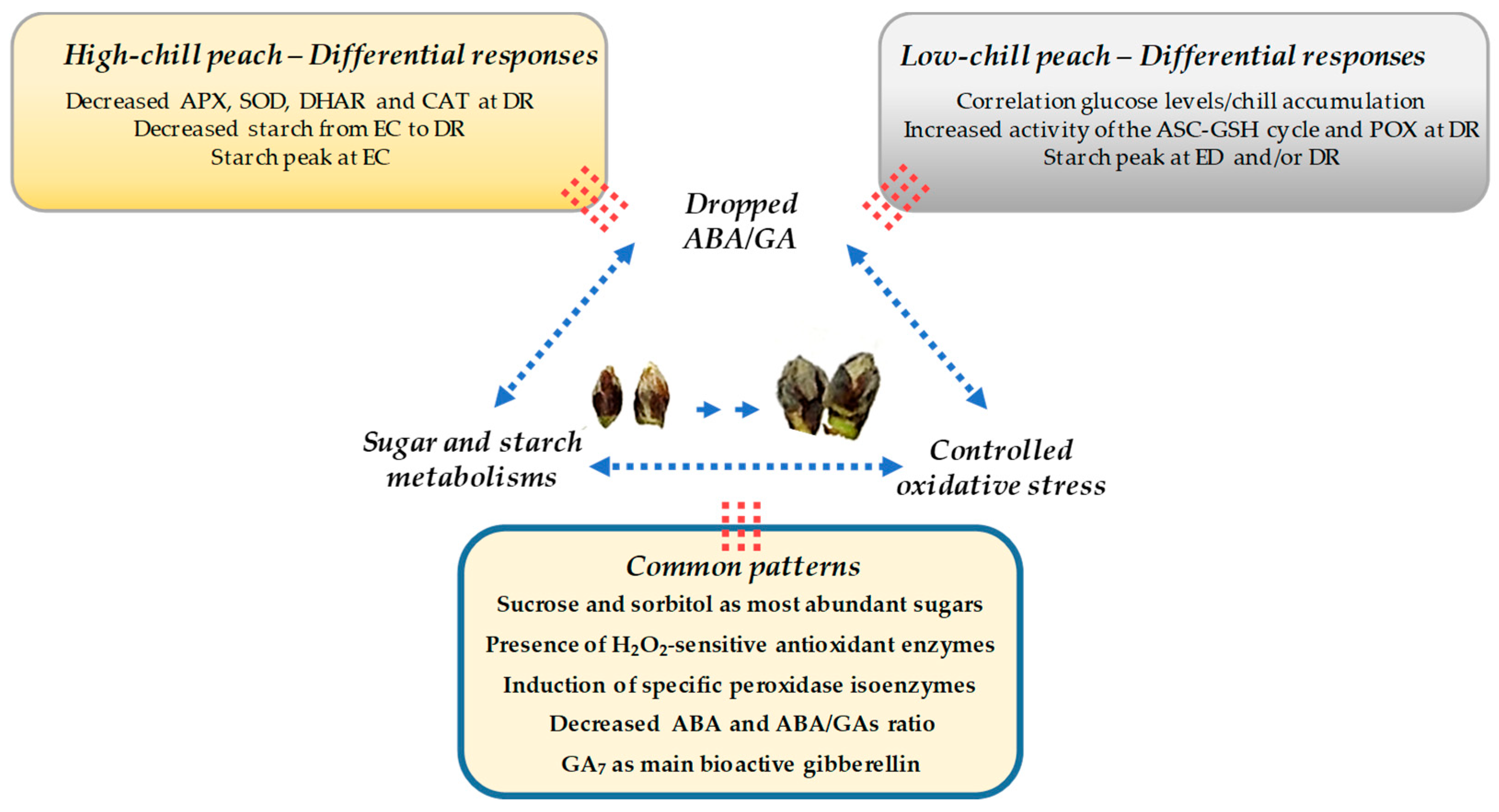 Antioxidants 10 00560 g020