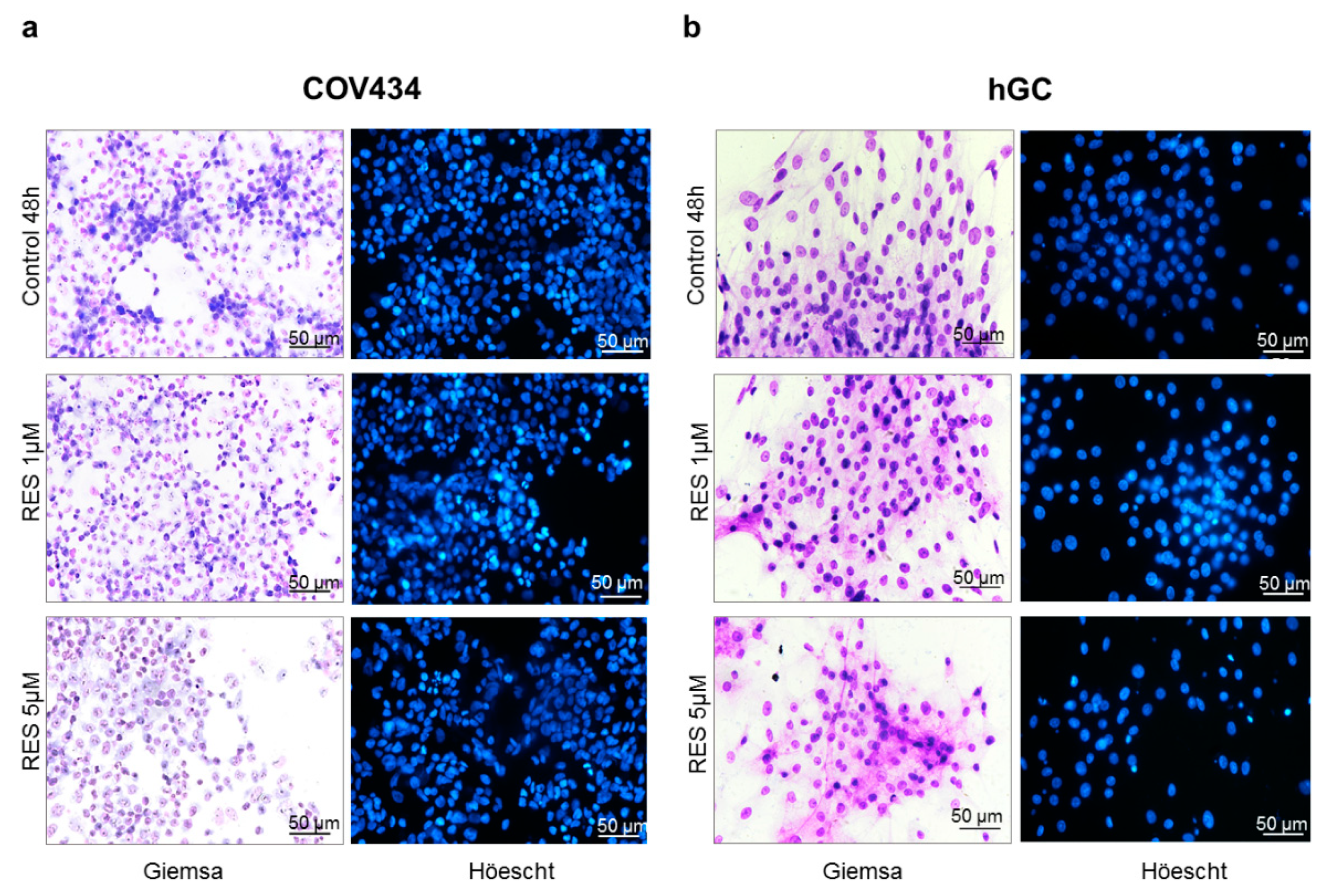 Antioxidants 10 00561 g002