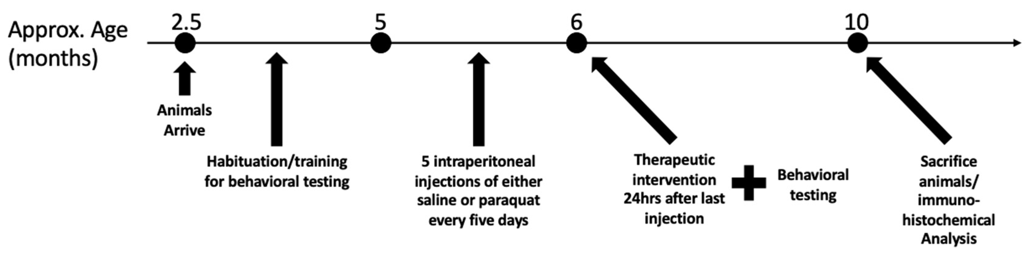 Antioxidants 10 00563 g001